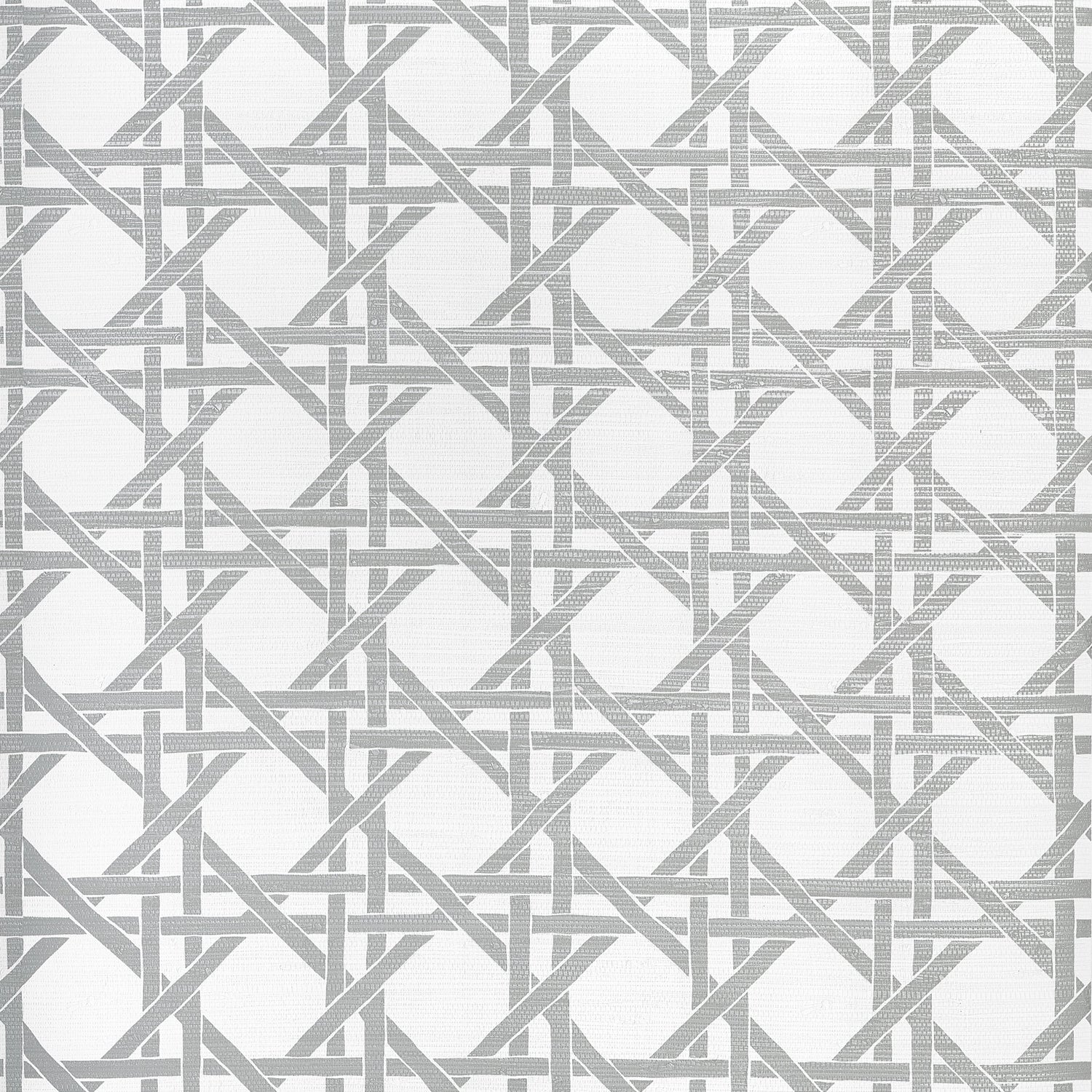 Canary Trellis fabric in metallic silver color - pattern number T15822 - by Thibaut in the Islander collection