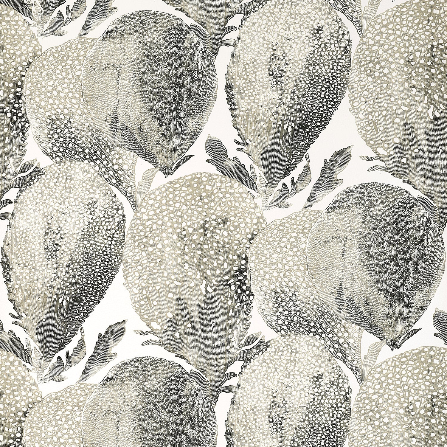 Under The Sea fabric in black and white color - pattern number T15826 - by Thibaut in the Islander collection