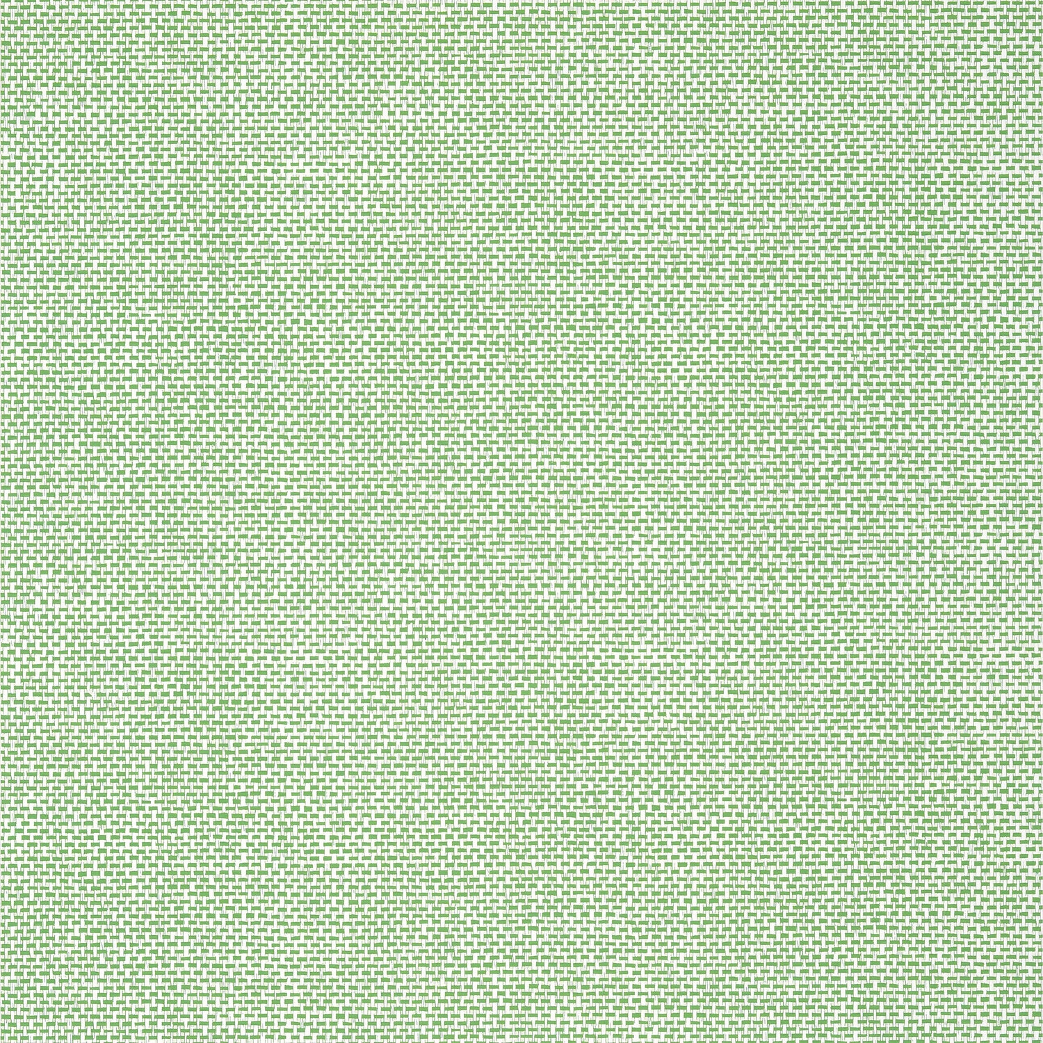 Palawan wallpaper in green color - pattern number T16261 - by Thibaut in the Kismet by Thibaut collection