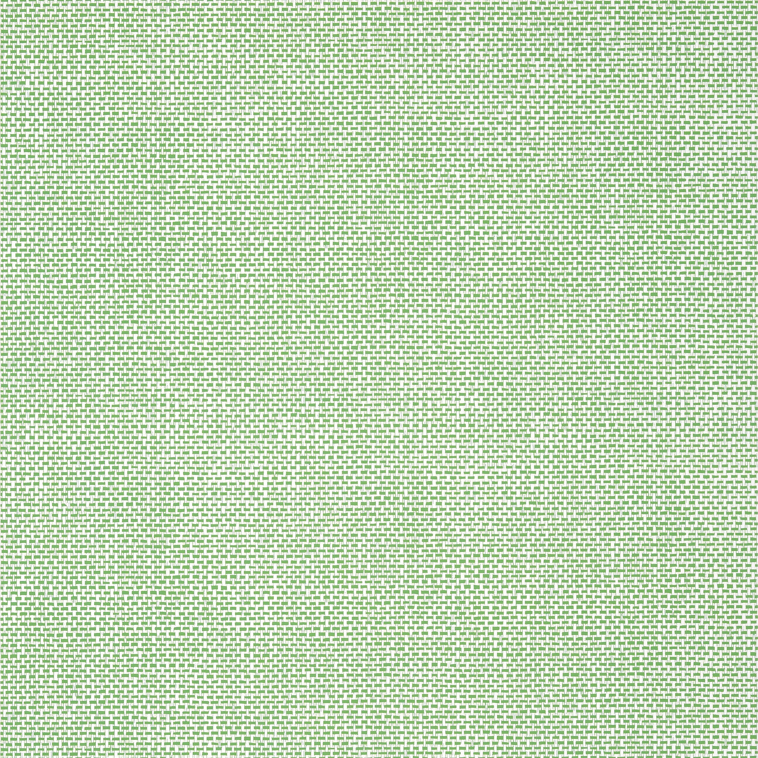 Palawan wallpaper in green color - pattern number T16261 - by Thibaut in the Kismet by Thibaut collection