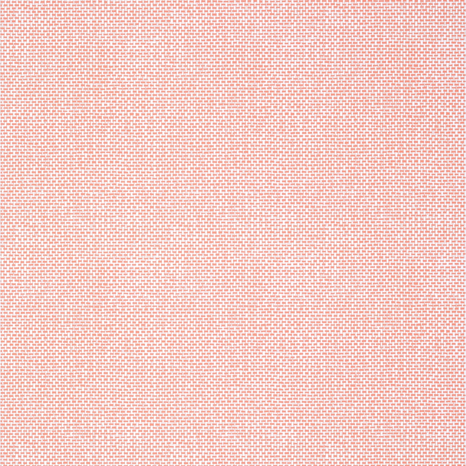 Palawan wallpaper in coral color - pattern number T16263 - by Thibaut in the Kismet by Thibaut collection