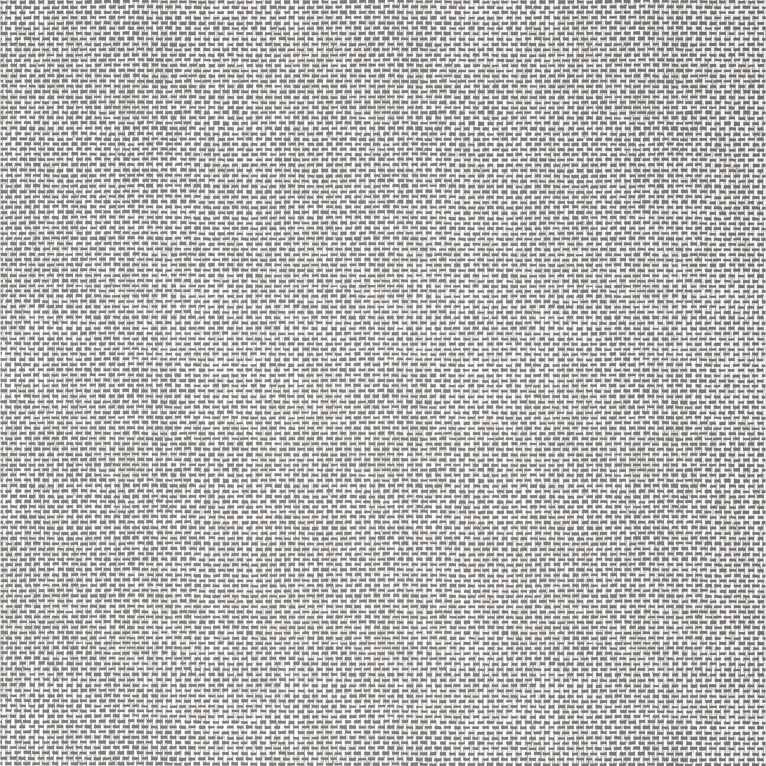 Palawan wallpaper in charcoal color - pattern number T16264 - by Thibaut in the Kismet by Thibaut collection