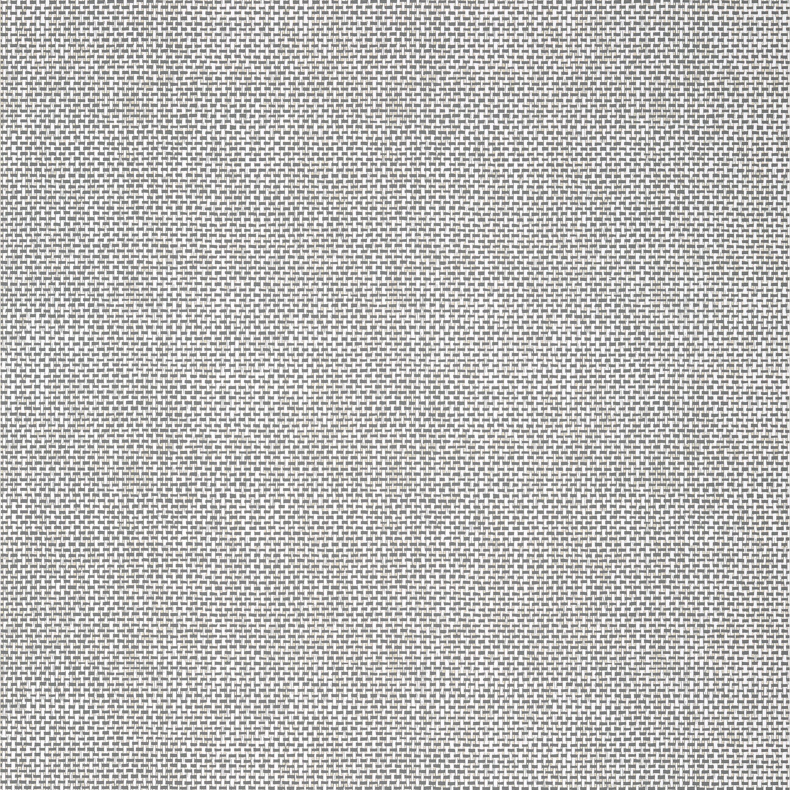 Palawan wallpaper in charcoal color - pattern number T16264 - by Thibaut in the Kismet by Thibaut collection