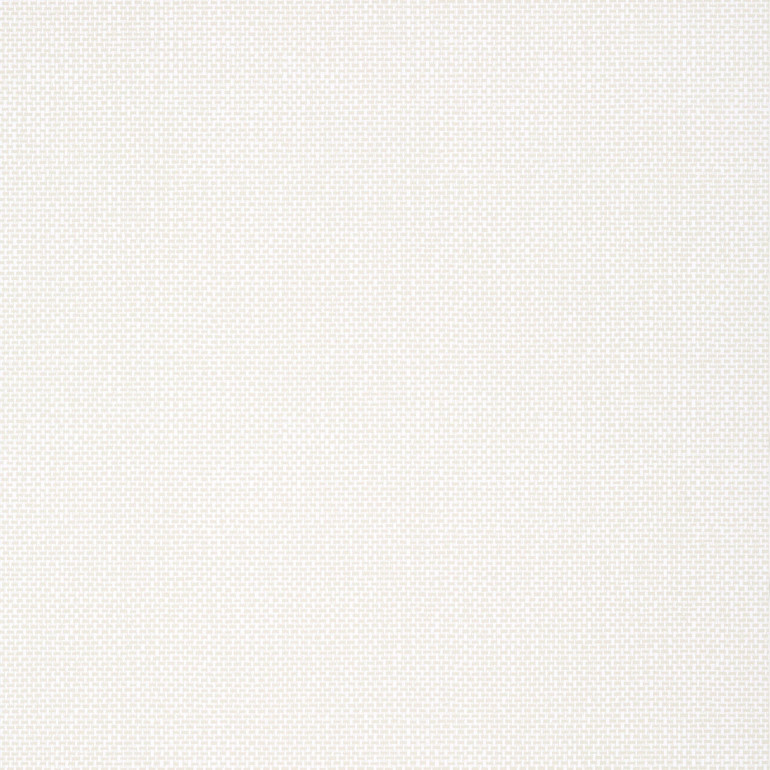 Palawan wallpaper in beige color - pattern number T16265 - by Thibaut in the Kismet by Thibaut collection
