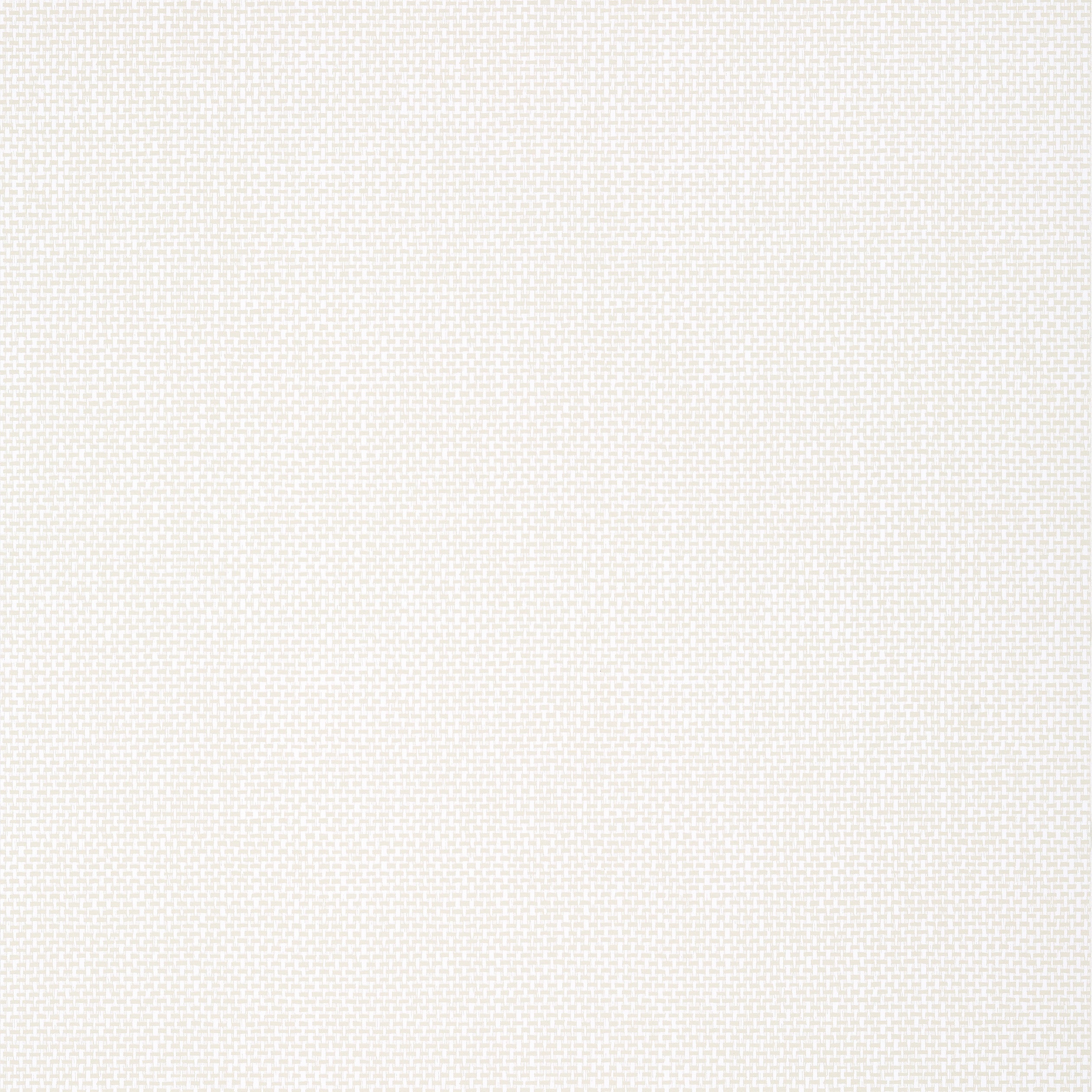 Palawan wallpaper in beige color - pattern number T16265 - by Thibaut in the Kismet by Thibaut collection