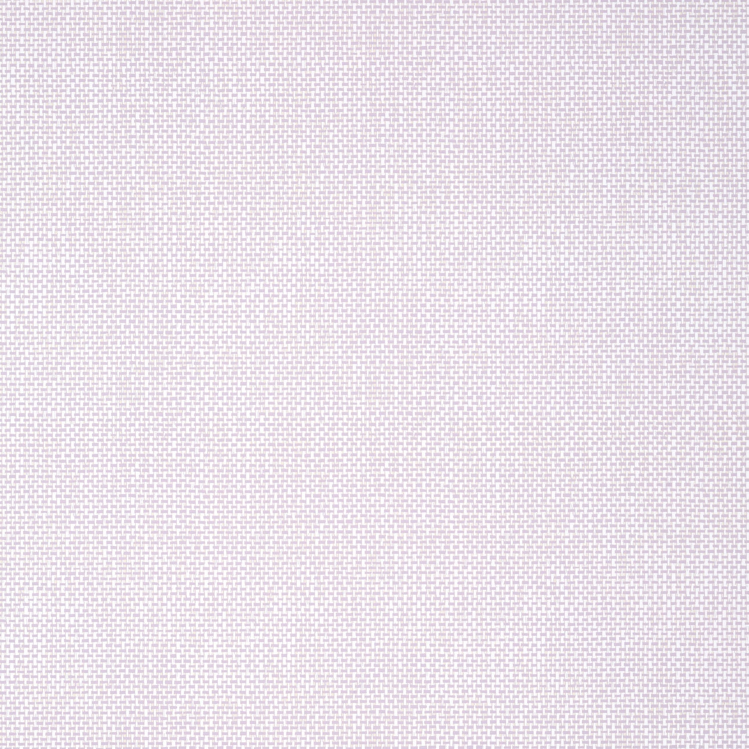 Palawan wallpaper in lavender color - pattern number T16267 - by Thibaut in the Kismet by Thibaut collection