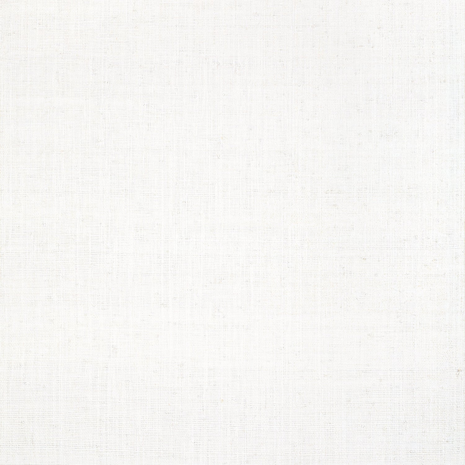 Bethany Raffia fabric in white color - pattern number T19601 - by Thibaut in the Grasscloth Resource Volume 6 collection