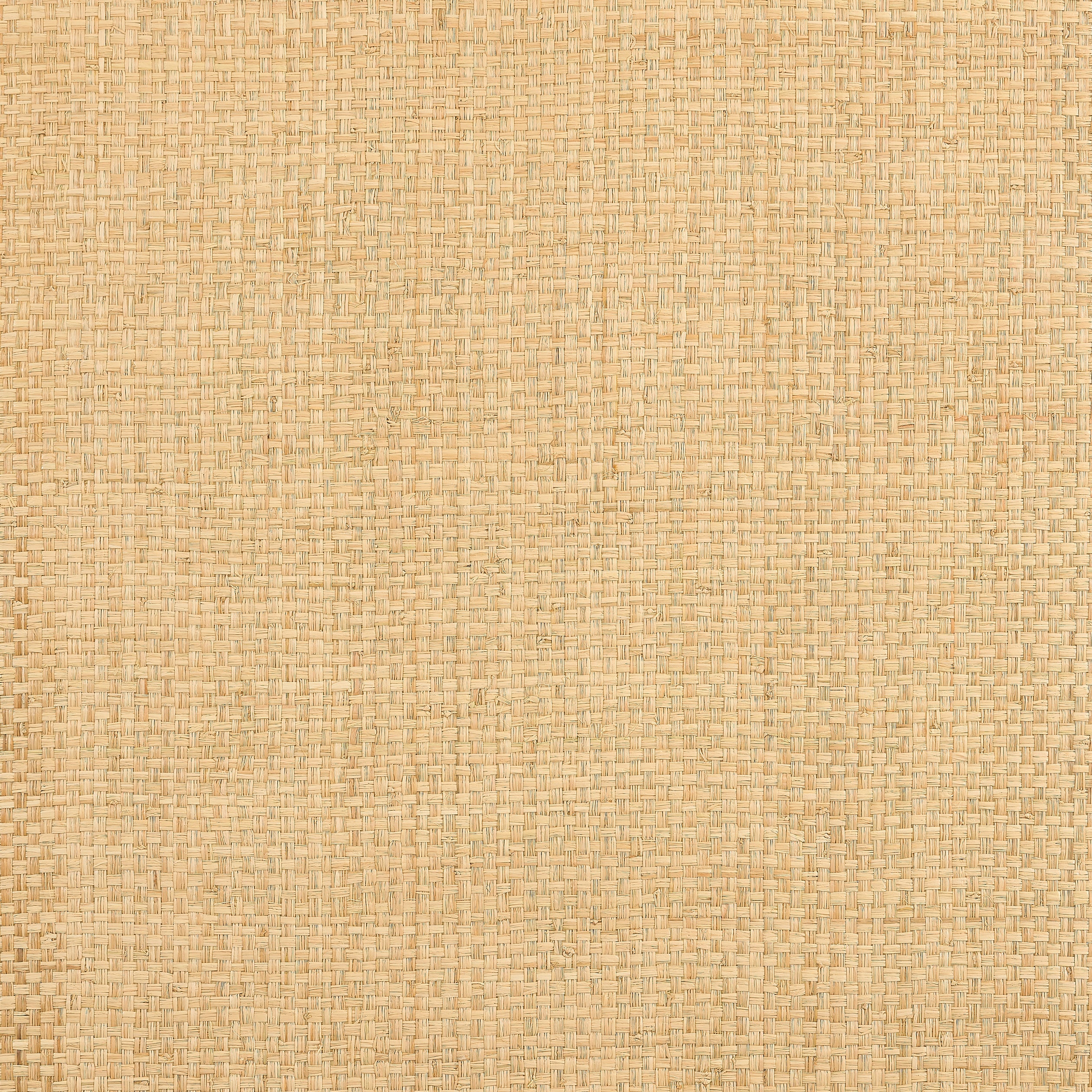 Lauderdale fabric in natural color - pattern number T19603 - by Thibaut in the Grasscloth Resource Volume 6 collection