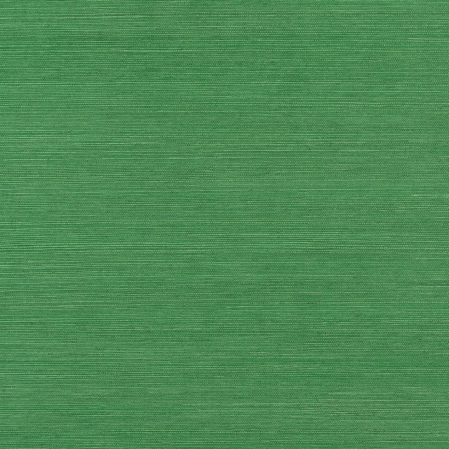 Shang Extra Fine Sisal fabric in emerald green color - pattern number T19612 - by Thibaut in the Grasscloth Resource Volume 6 collection