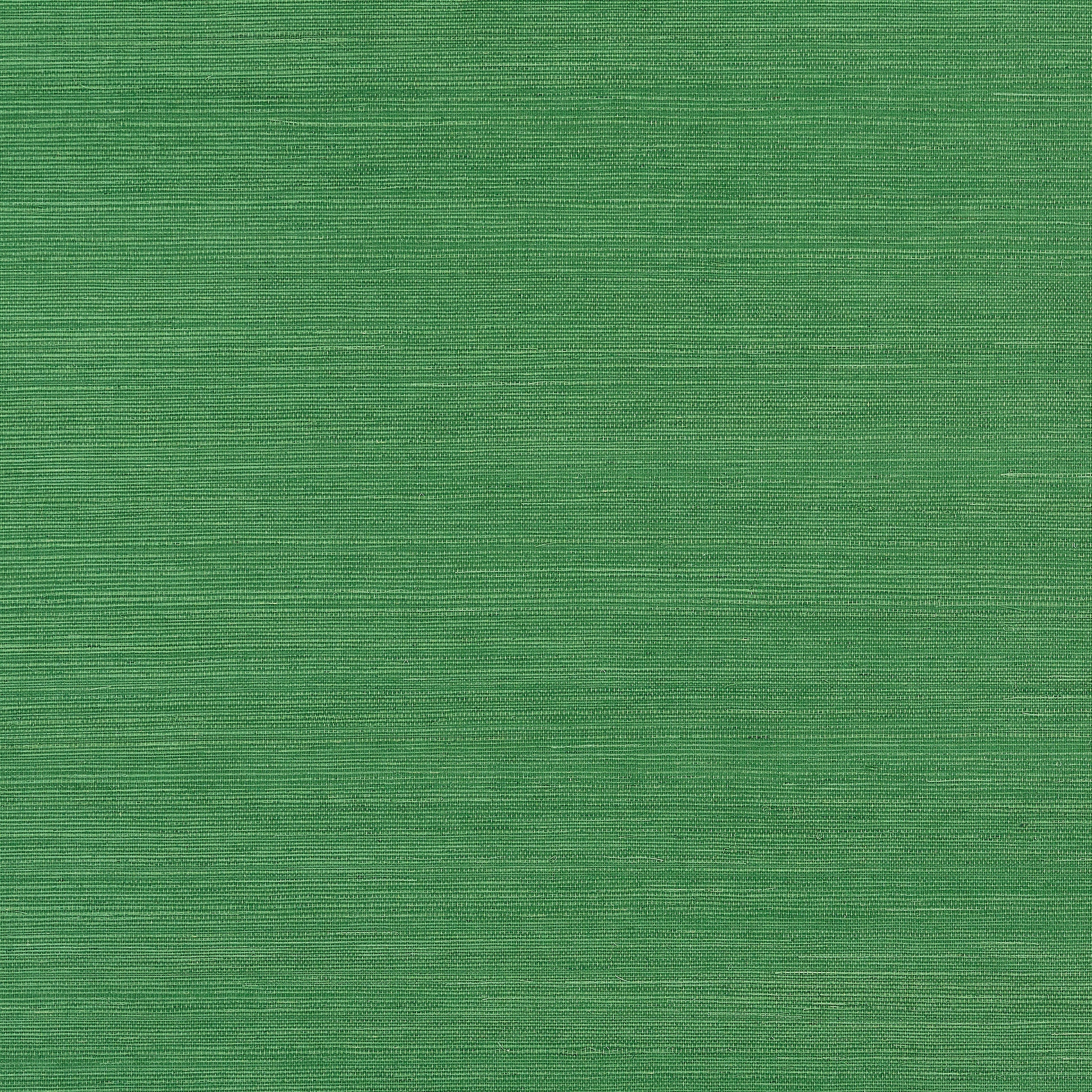 Shang Extra Fine Sisal fabric in emerald green color - pattern number T19612 - by Thibaut in the Grasscloth Resource Volume 6 collection