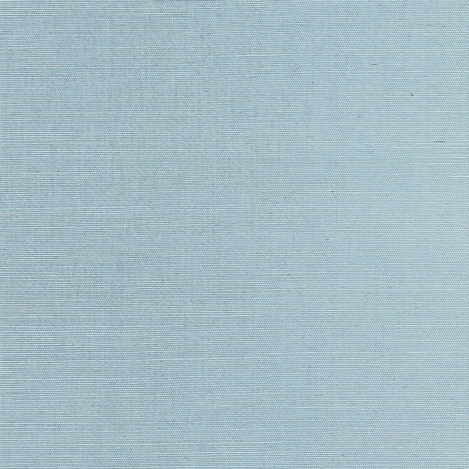 Shang Extra Fine Sisal fabric in seawater color - pattern number T19616 - by Thibaut in the Grasscloth Resource Volume 6 collection