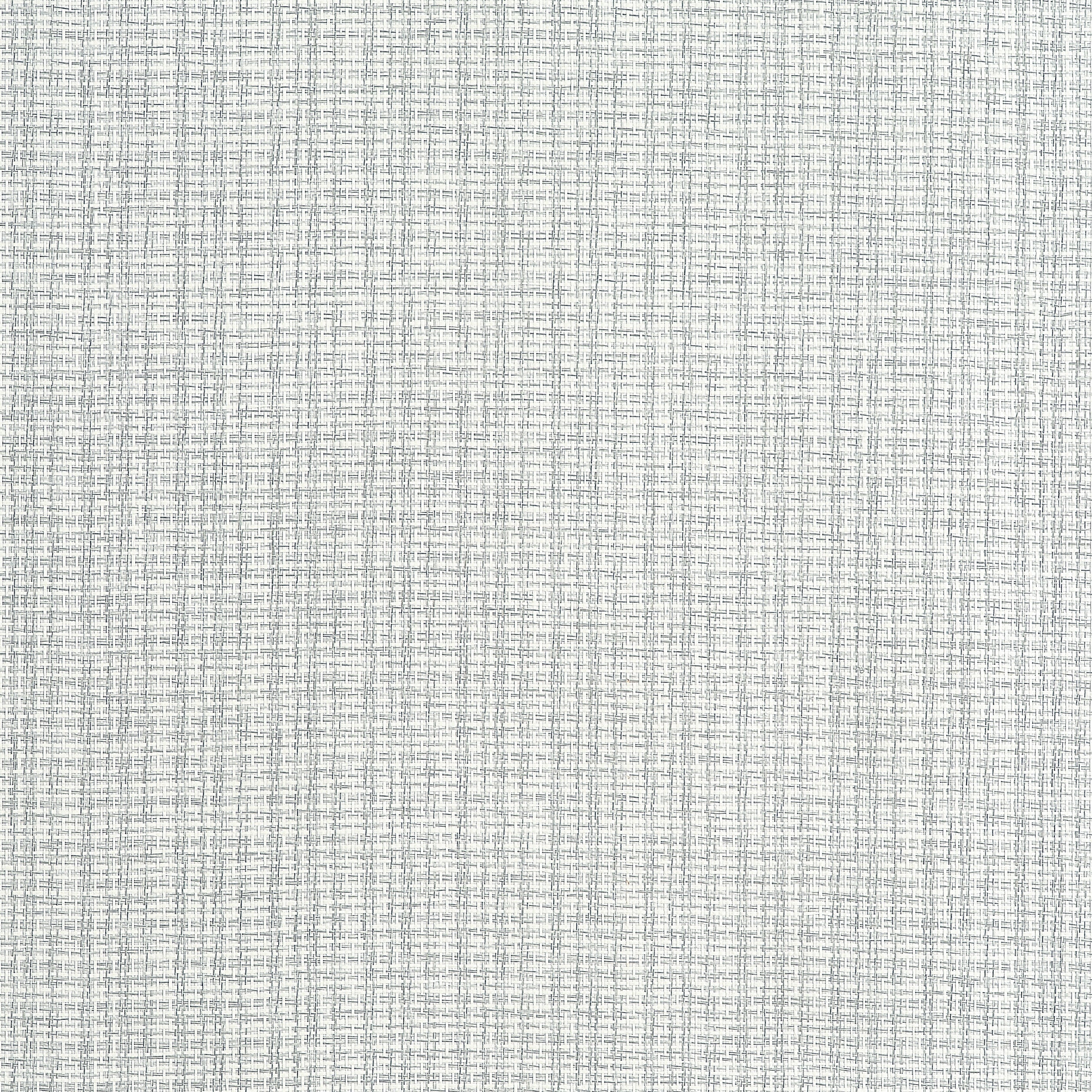 Coastline wallpaper in grey color - pattern number T19629 - by Thibaut in the Grasscloth Resource Volume 6 collection