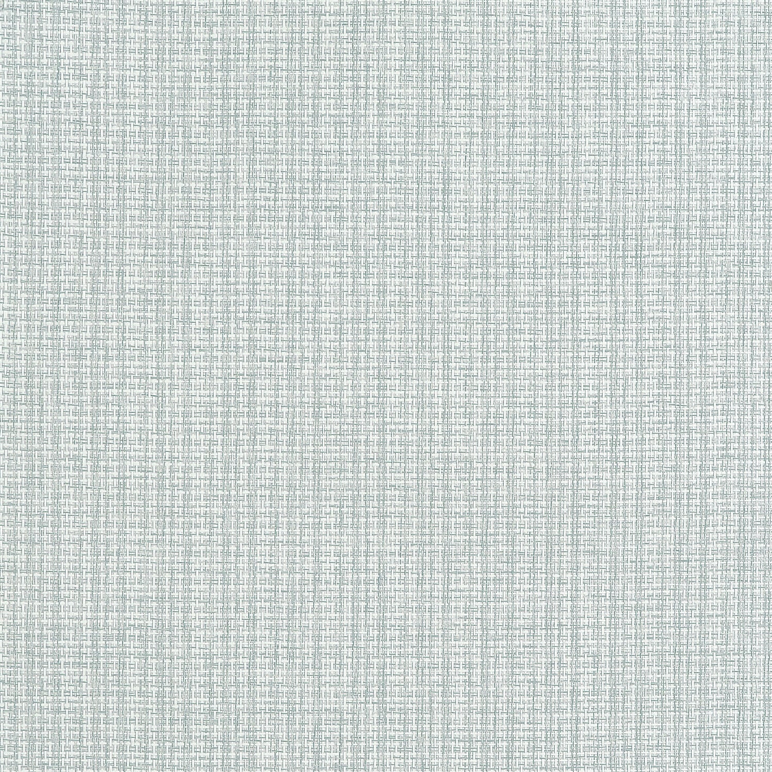 Coastline wallpaper in seamist color - pattern number T19633 - by Thibaut in the Grasscloth Resource Volume 6 collection