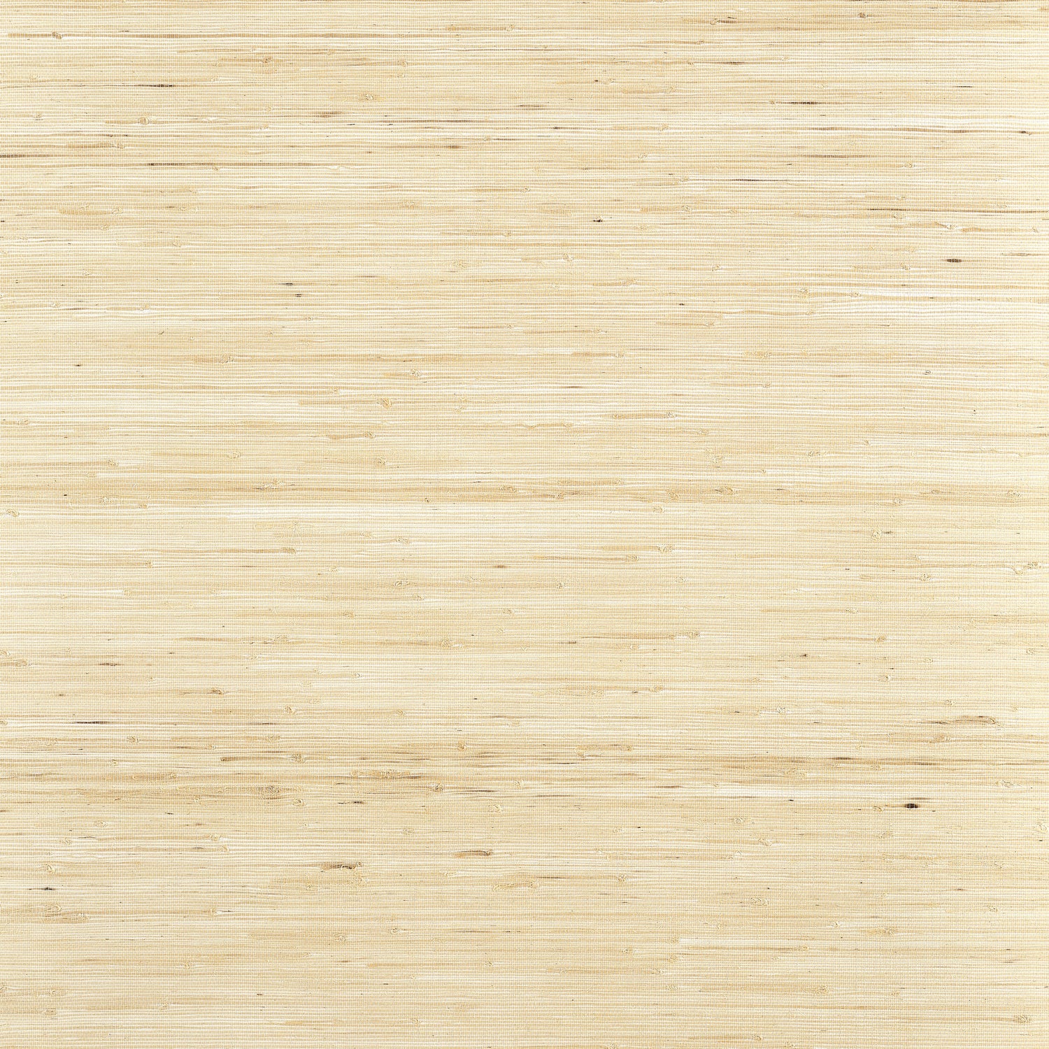 Sydney wallpaper in paperwhite color - pattern number T19653 - by Thibaut in the Grasscloth Resource Volume 6 collection