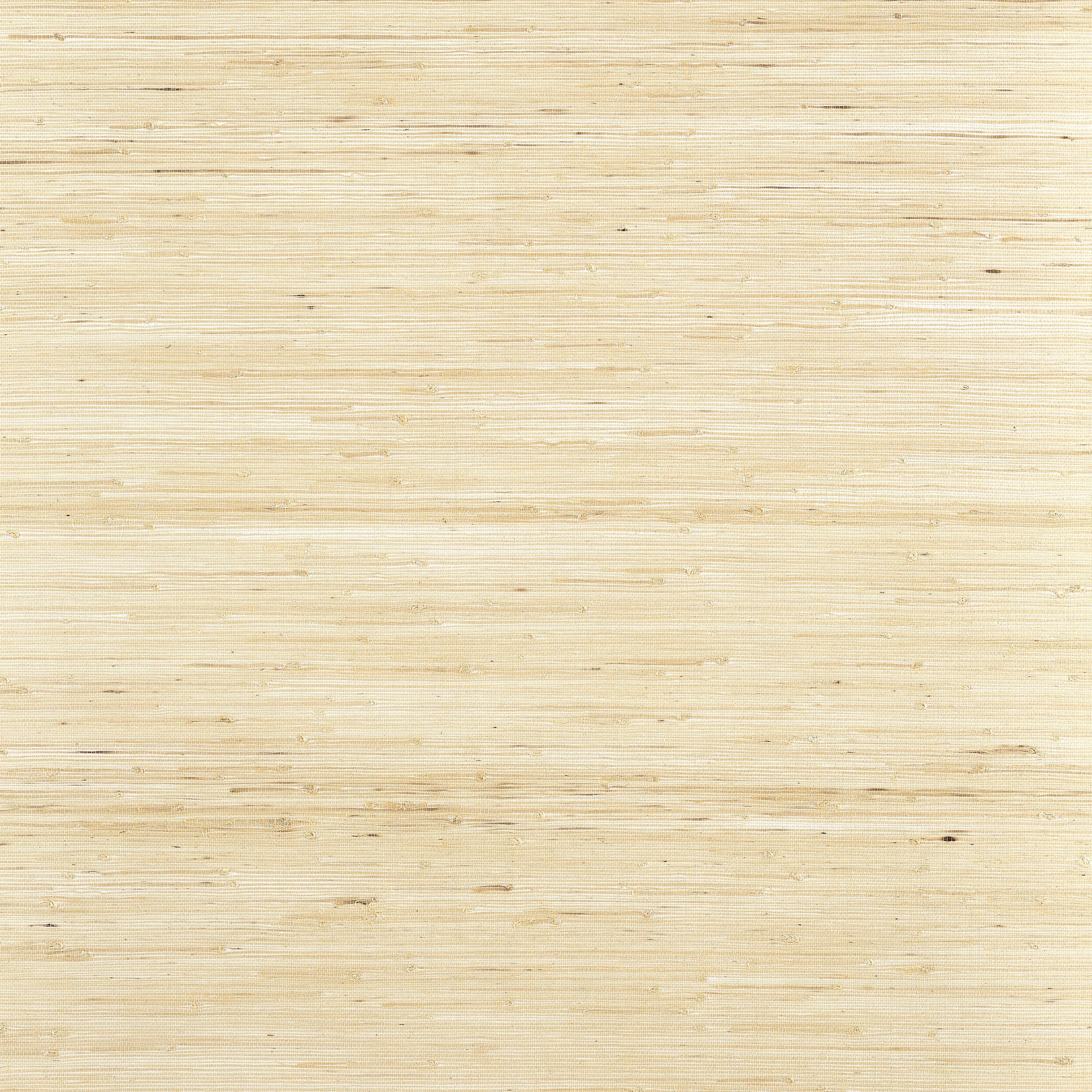 Sydney wallpaper in paperwhite color - pattern number T19653 - by Thibaut in the Grasscloth Resource Volume 6 collection