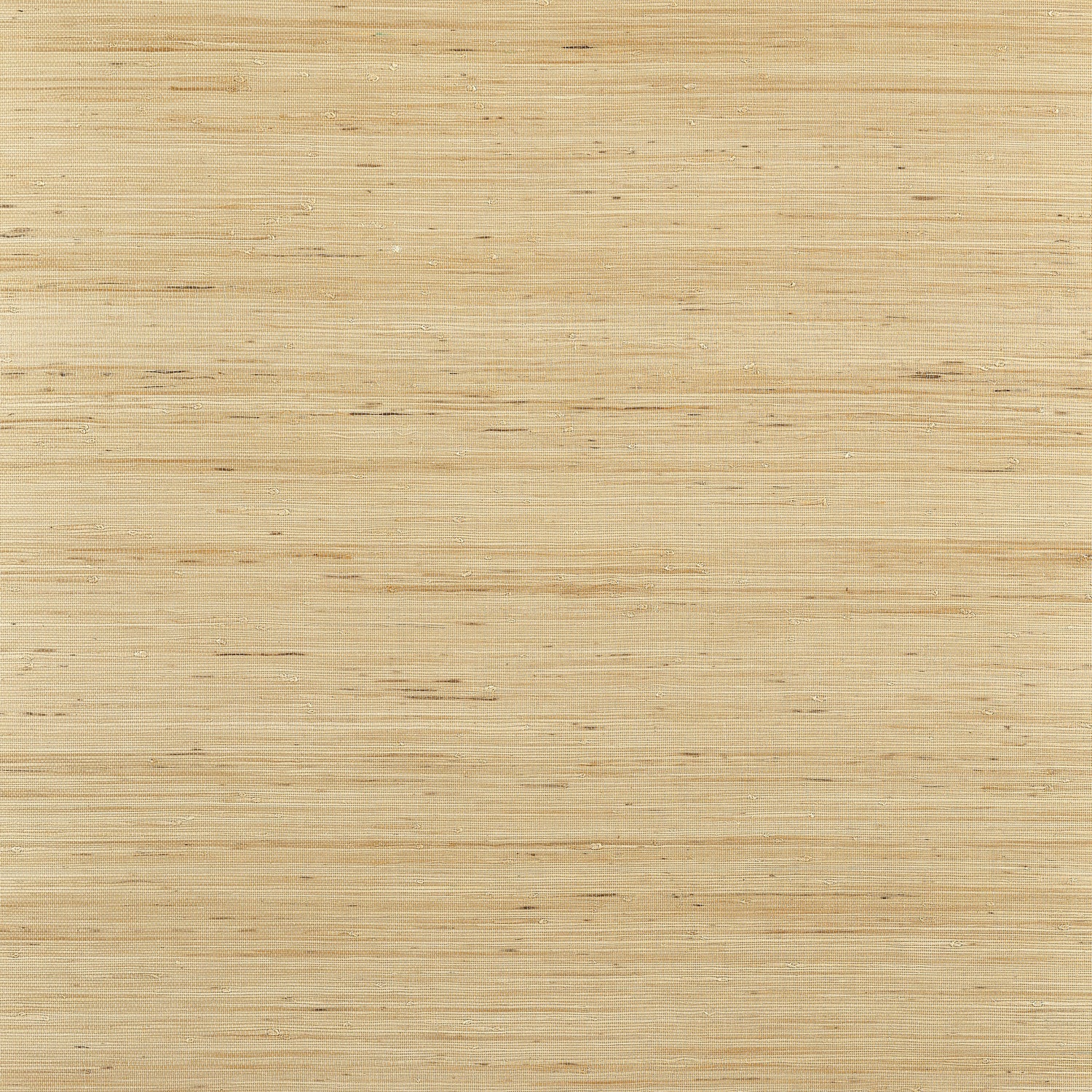 Sydney wallpaper in light taupe color - pattern number T19654 - by Thibaut in the Grasscloth Resource Volume 6 collection