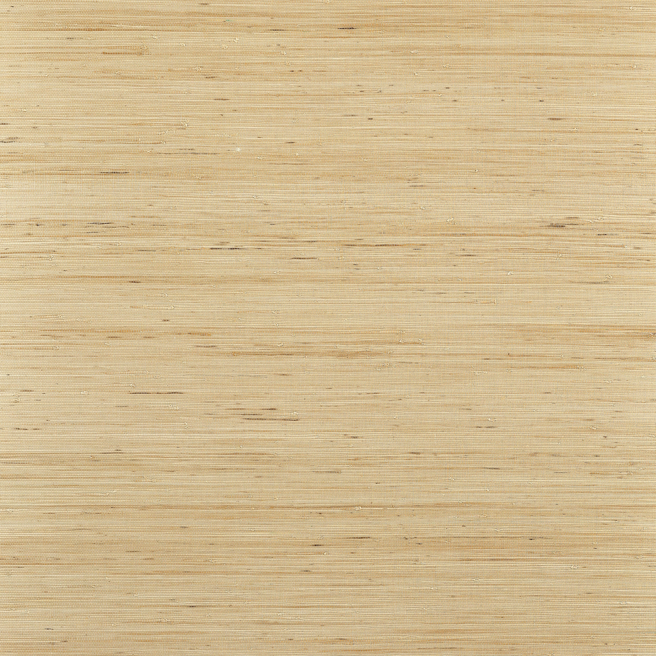 Sydney wallpaper in light taupe color - pattern number T19654 - by Thibaut in the Grasscloth Resource Volume 6 collection