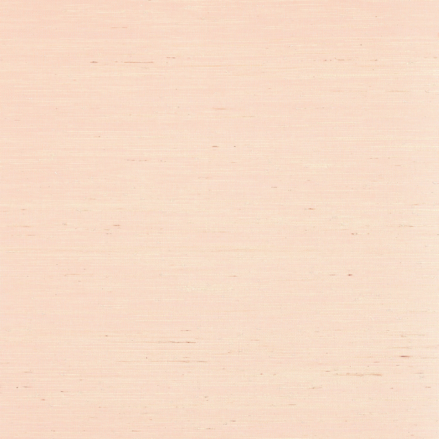 Sydney wallpaper in seashell color - pattern number T19655 - by Thibaut in the Grasscloth Resource Volume 6 collection