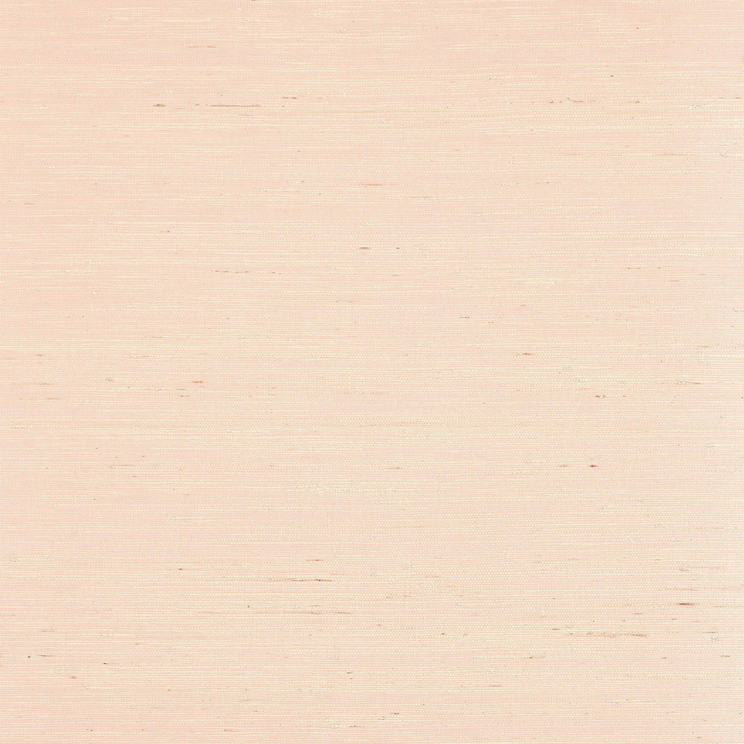 Sydney wallpaper in seashell color - pattern number T19655 - by Thibaut in the Grasscloth Resource Volume 6 collection