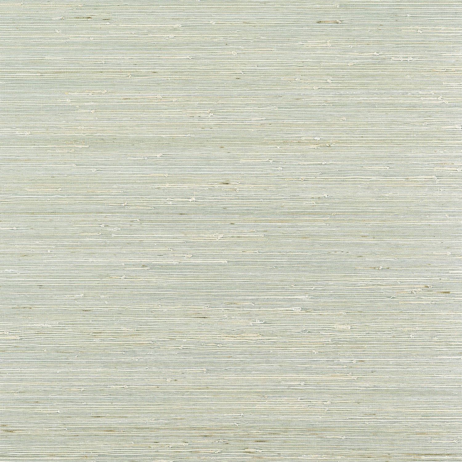 Sydney wallpaper in light spruce color - pattern number T19656 - by Thibaut in the Grasscloth Resource Volume 6 collection