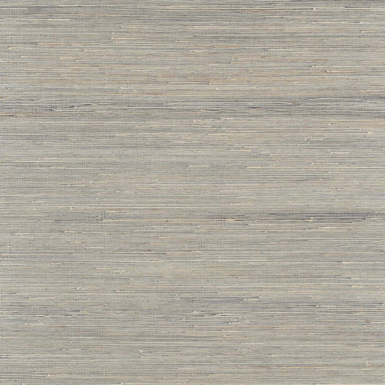 Sydney wallpaper in black color - pattern number T19659 - by Thibaut in the Grasscloth Resource Volume 6 collection