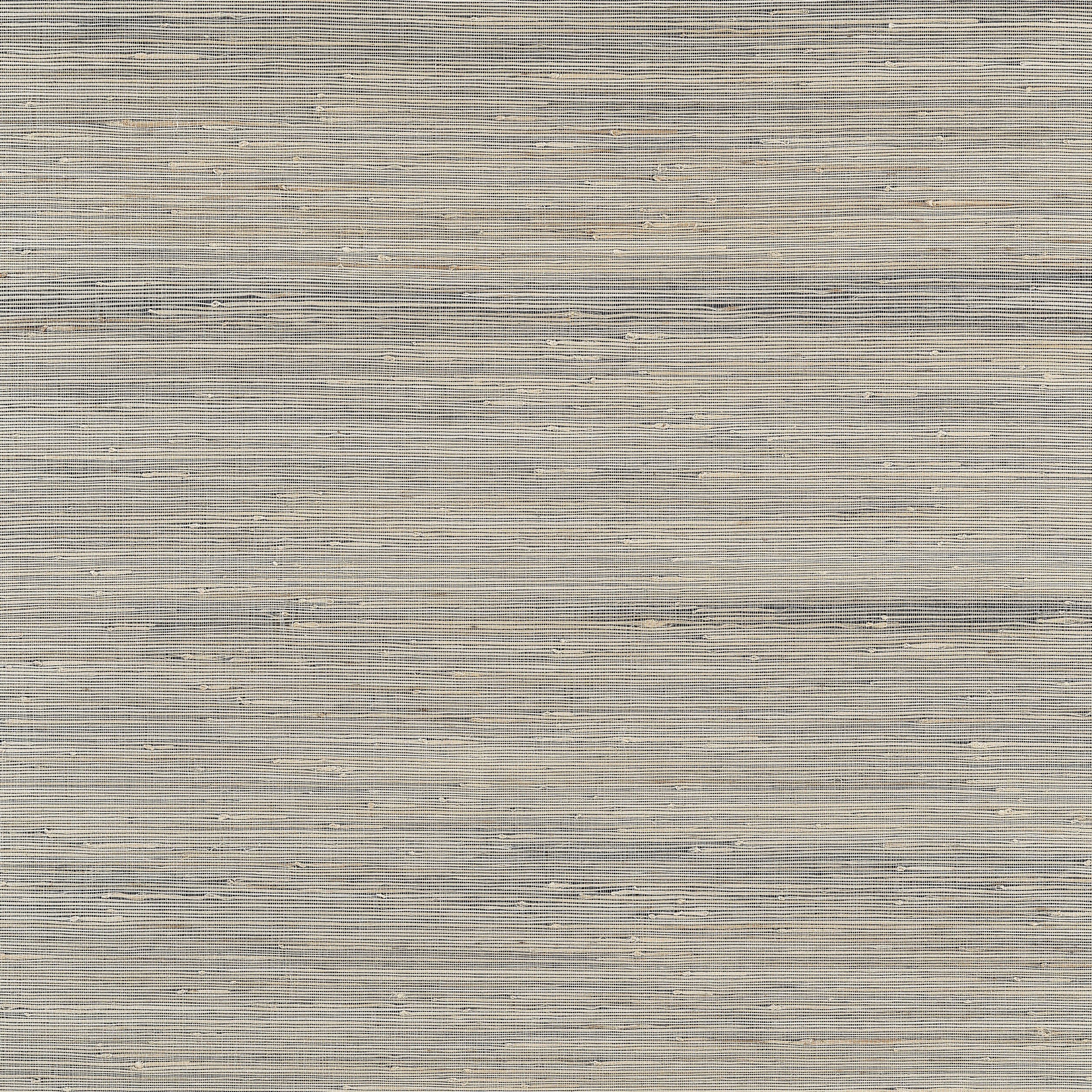 Sydney wallpaper in black color - pattern number T19659 - by Thibaut in the Grasscloth Resource Volume 6 collection