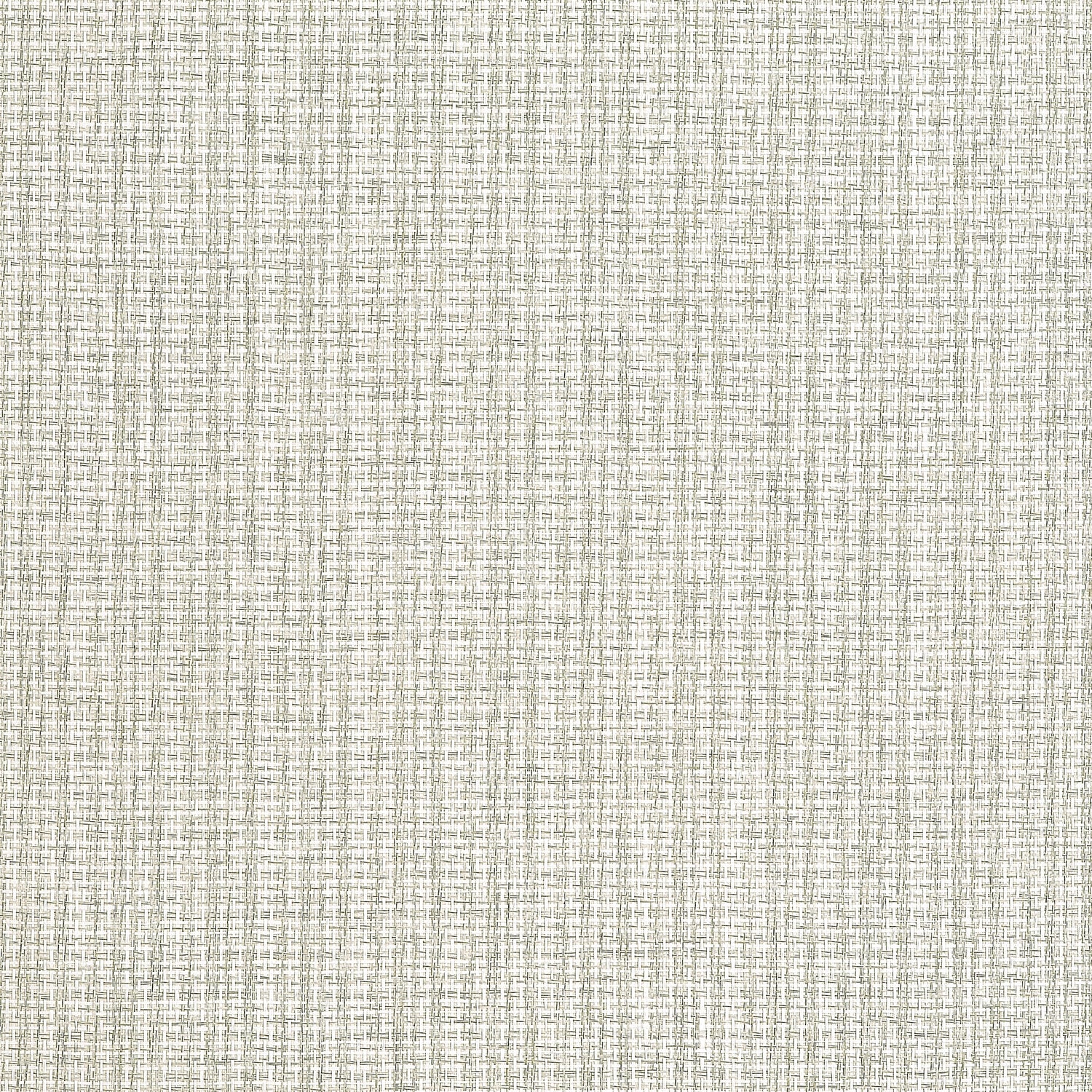 Coastline wallpaper in light moss color - pattern number T19661 - by Thibaut in the Grasscloth Resource Volume 6 collection