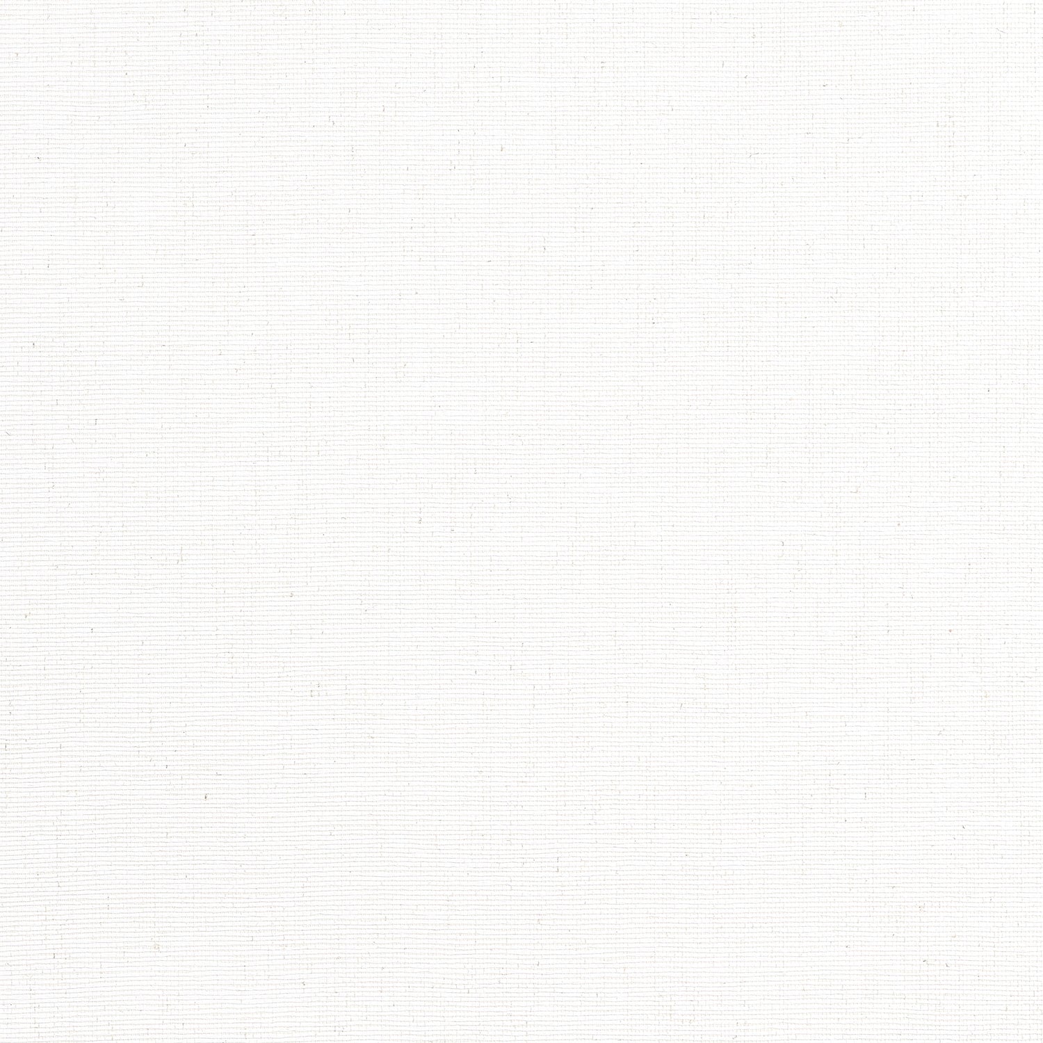 Edwards Paper fabric in white color - pattern number T19693 - by Thibaut in the Grasscloth Resource Volume 6 collection