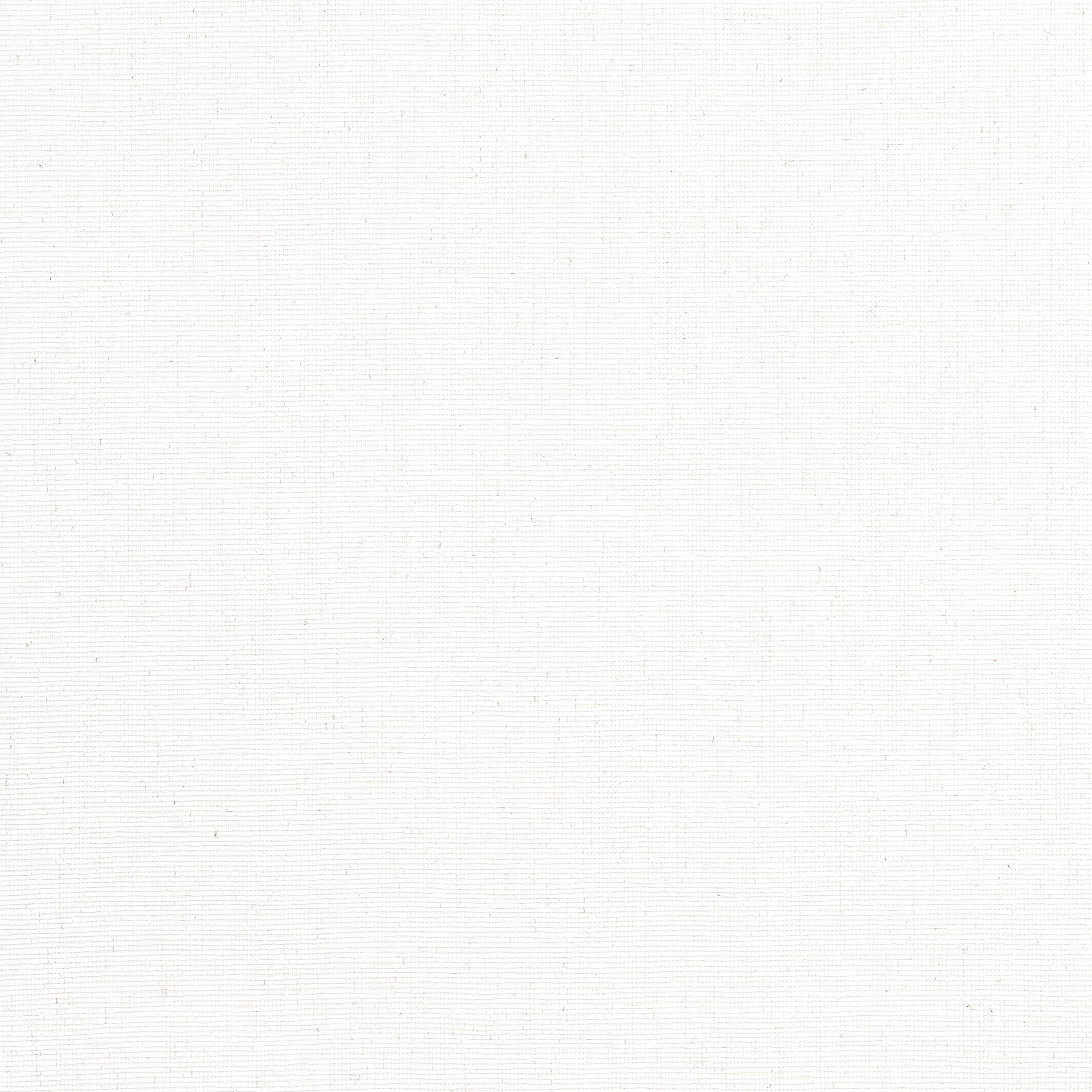 Edwards Paper fabric in white color - pattern number T19693 - by Thibaut in the Grasscloth Resource Volume 6 collection