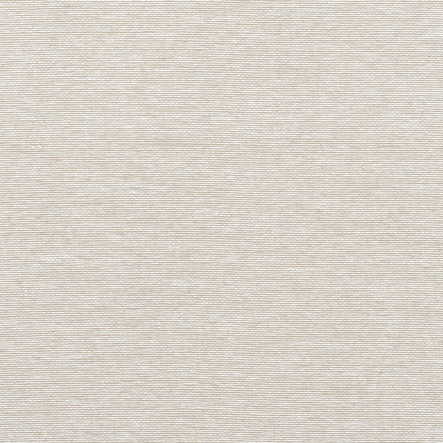 Edwards Paper fabric in putty color - pattern number T19696 - by Thibaut in the Grasscloth Resource Volume 6 collection