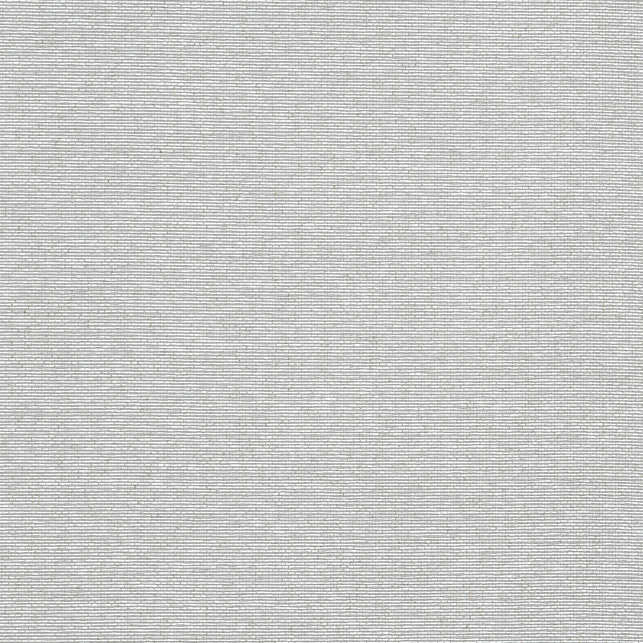 Edwards Paper fabric in grey color - pattern number T19701 - by Thibaut in the Grasscloth Resource Volume 6 collection