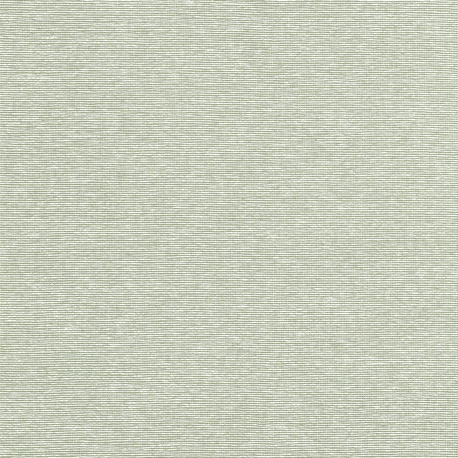 Edwards Paper fabric in green color - pattern number T19703 - by Thibaut in the Grasscloth Resource Volume 6 collection