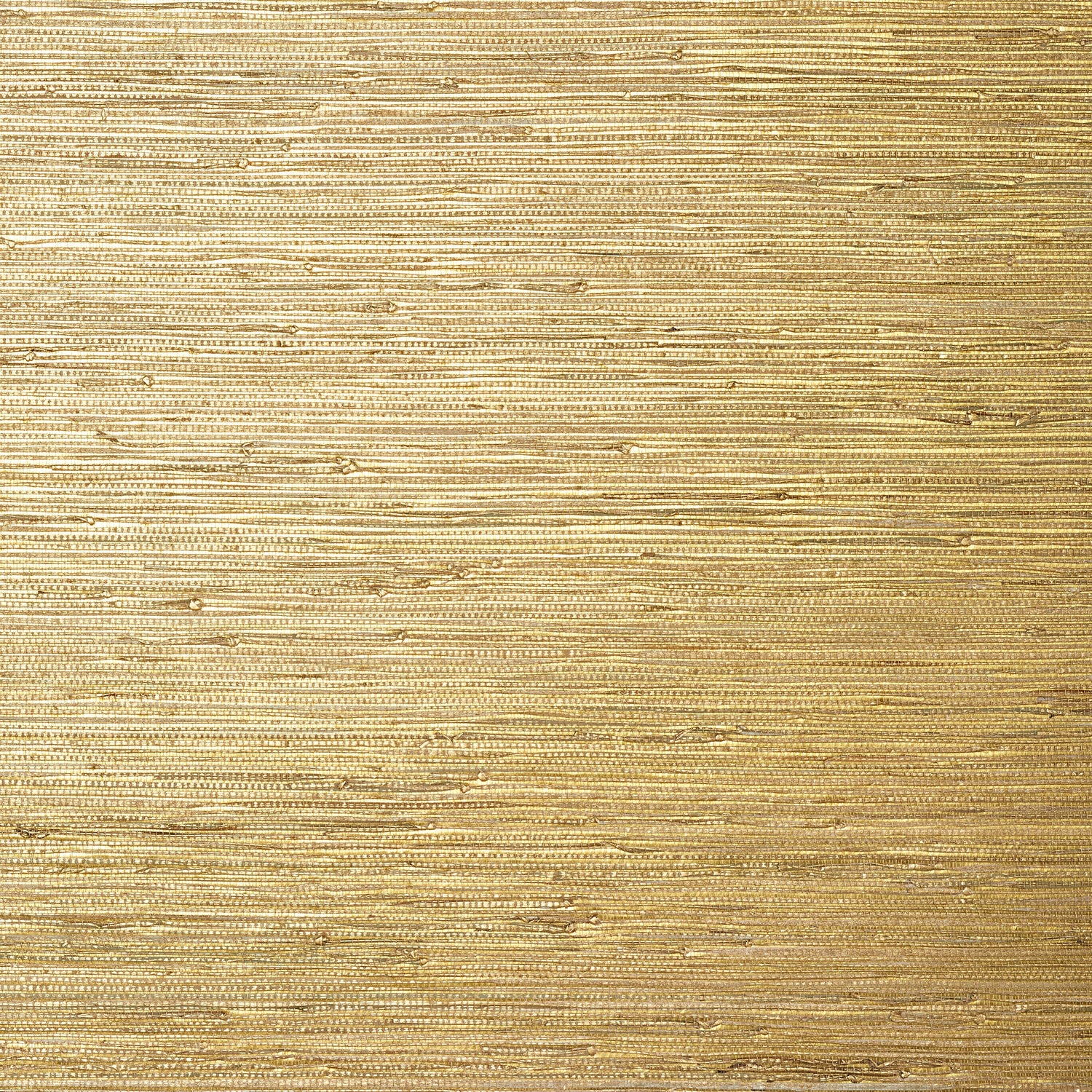 Sutton wallpaper in metallic gold color - pattern number T24062 - by Thibaut in the Grasscloth Resource Volume 5 collection