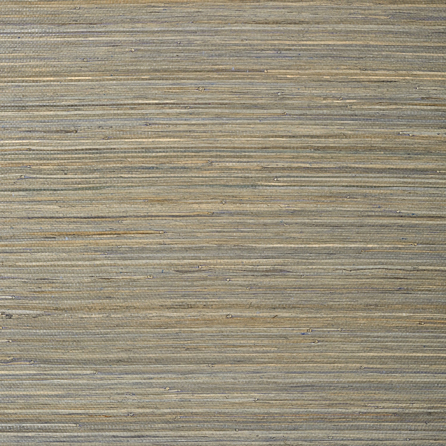 Raffia Palm wallpaper in grey color - pattern number T24067 - by Thibaut in the Grasscloth Resource Volume 5 collection