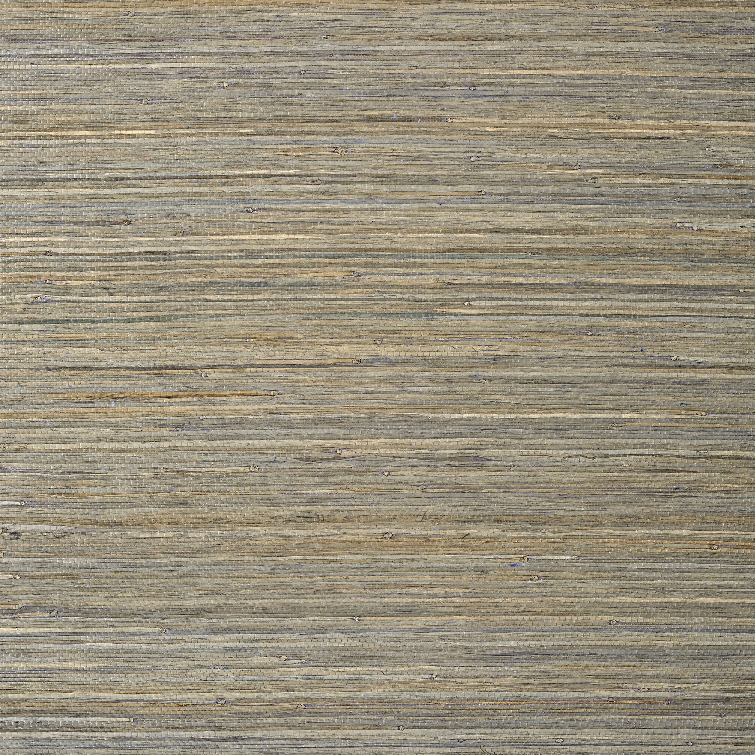 Raffia Palm wallpaper in grey color - pattern number T24067 - by Thibaut in the Grasscloth Resource Volume 5 collection