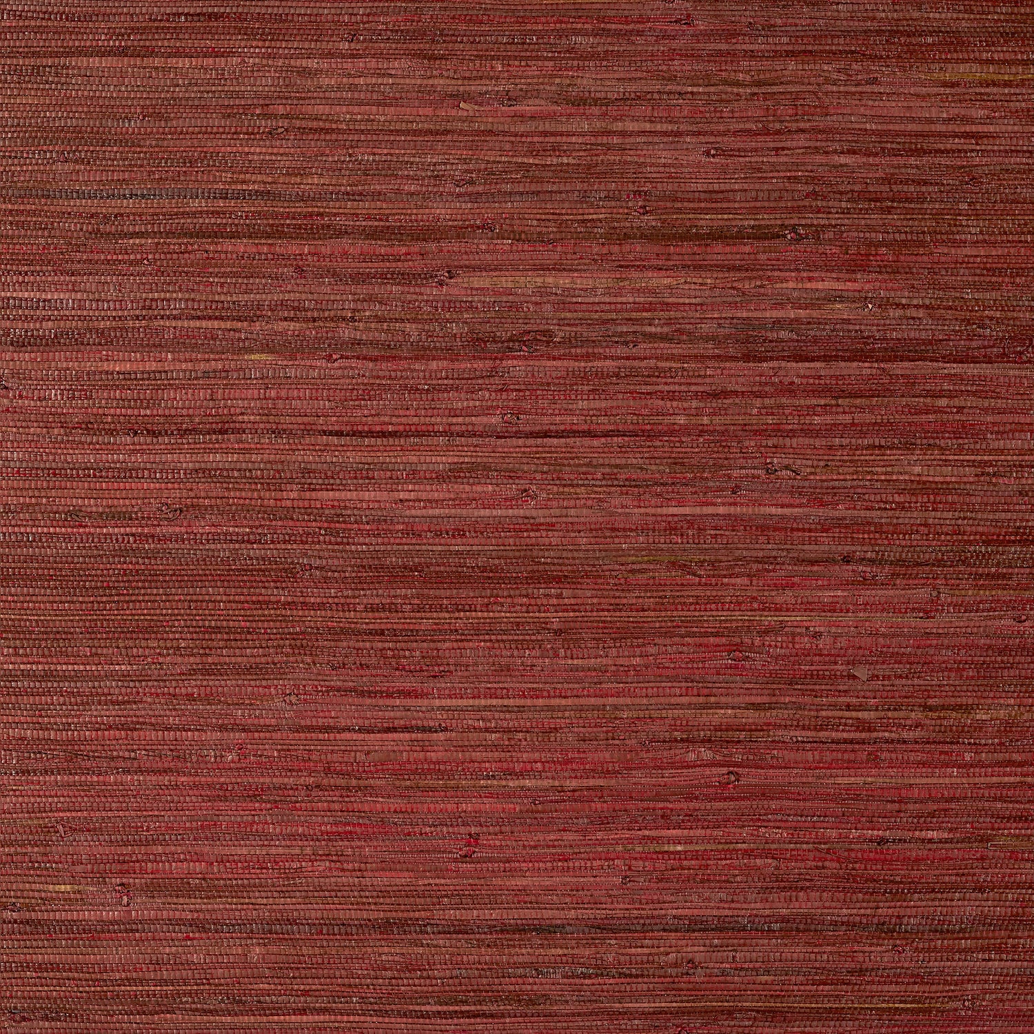 Raffia Palm wallpaper in sun baked color - pattern number T24068 - by Thibaut in the Grasscloth Resource Volume 5 collection