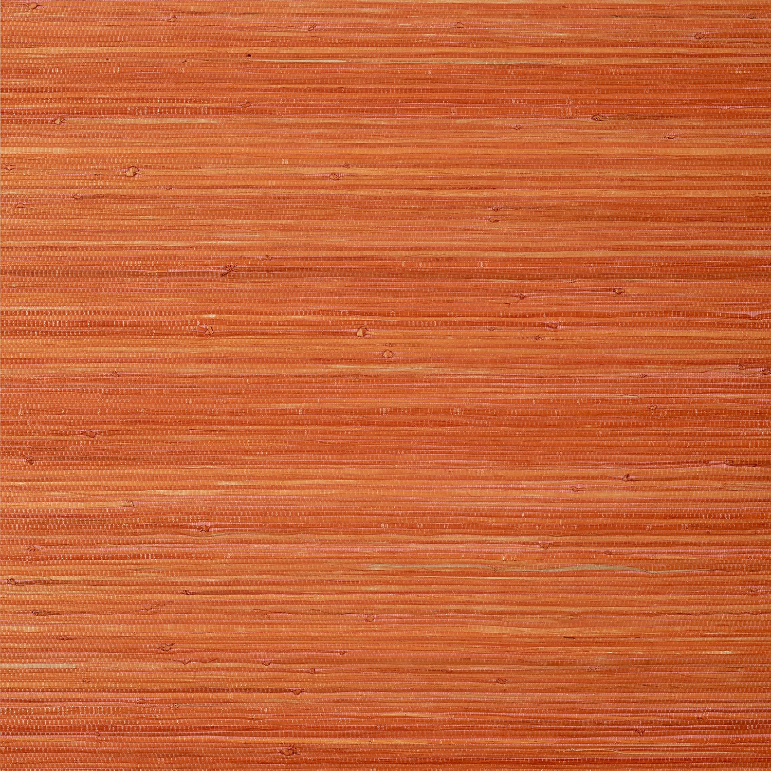 Raffia Palm wallpaper in orange color - pattern number T24072 - by Thibaut in the Grasscloth Resource Volume 5 collection