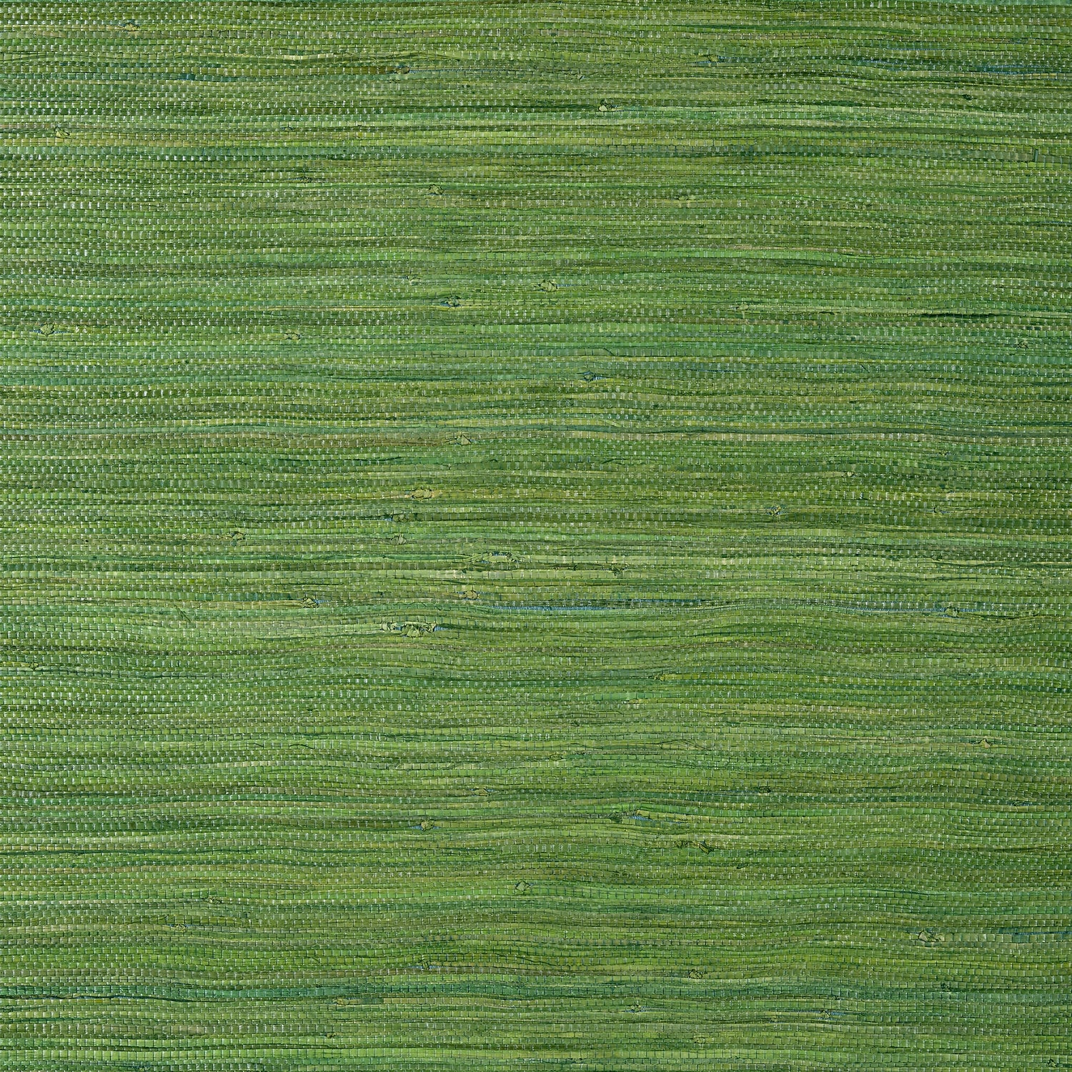 Raffia Palm wallpaper in emerald green color - pattern number T24074 - by Thibaut in the Grasscloth Resource Volume 5 collection