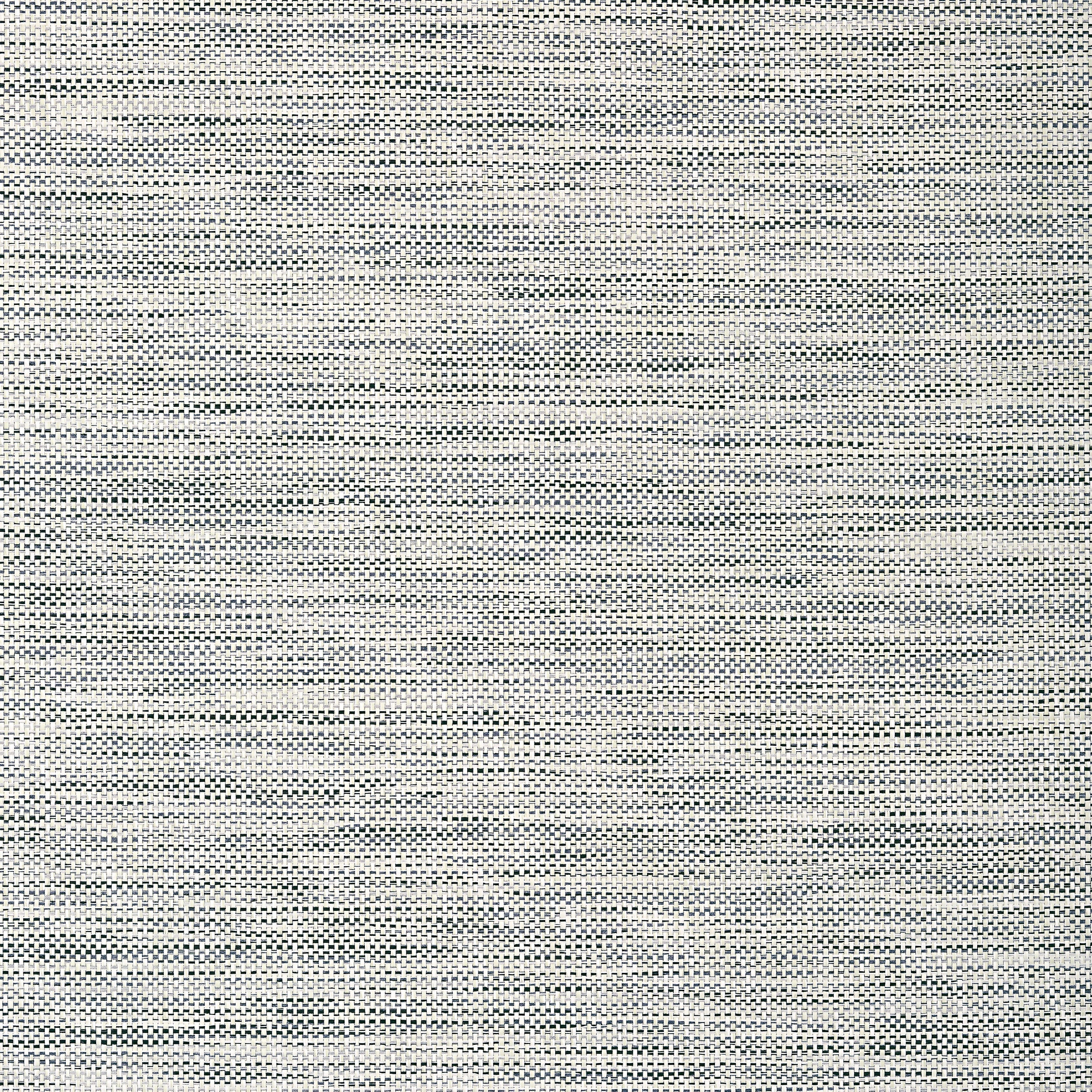Calistoga wallpaper in black and white color - pattern number T24113 - by Thibaut in the Grasscloth Resource Volume 5 collection