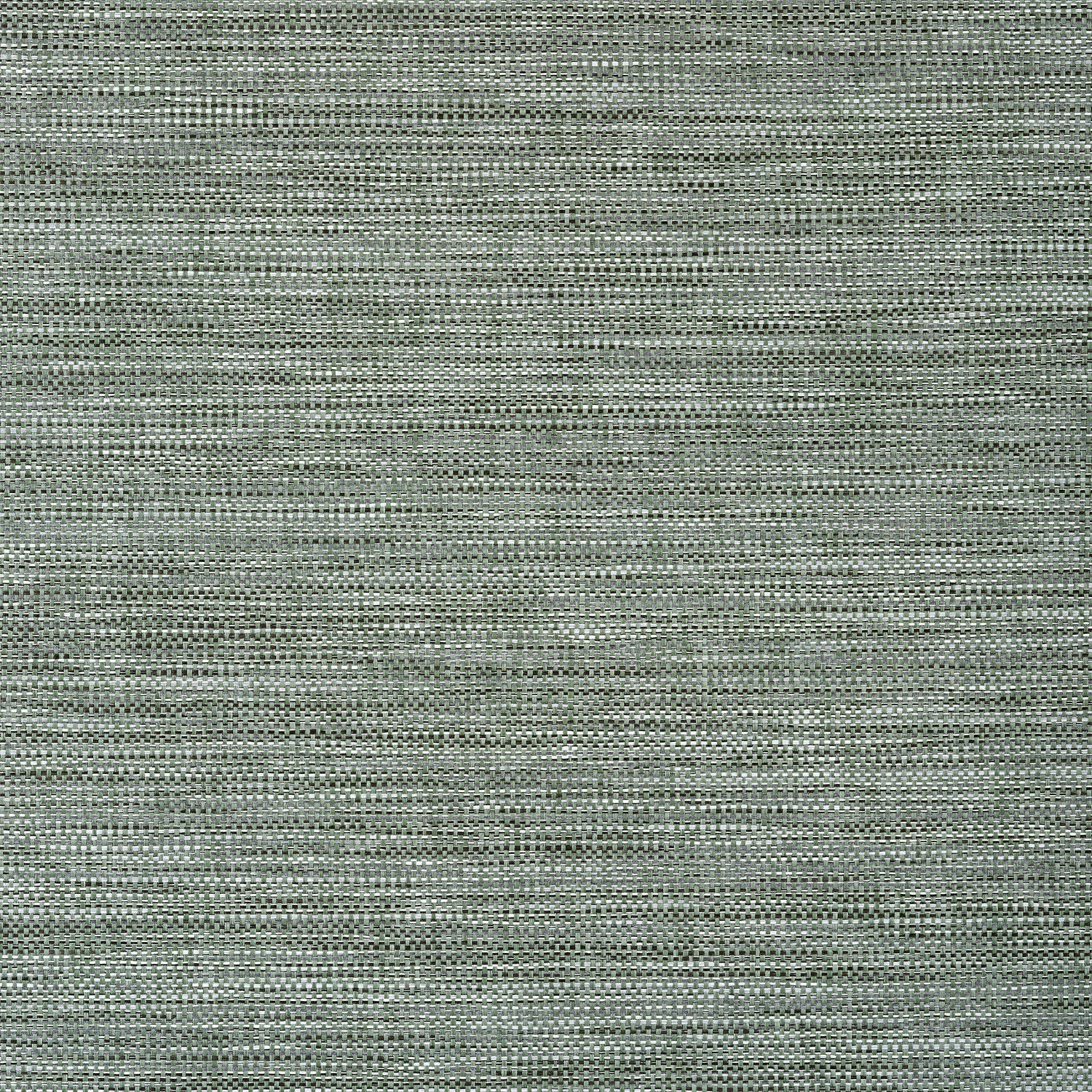 Calistoga wallpaper in green color - pattern number T24117 - by Thibaut in the Grasscloth Resource Volume 5 collection