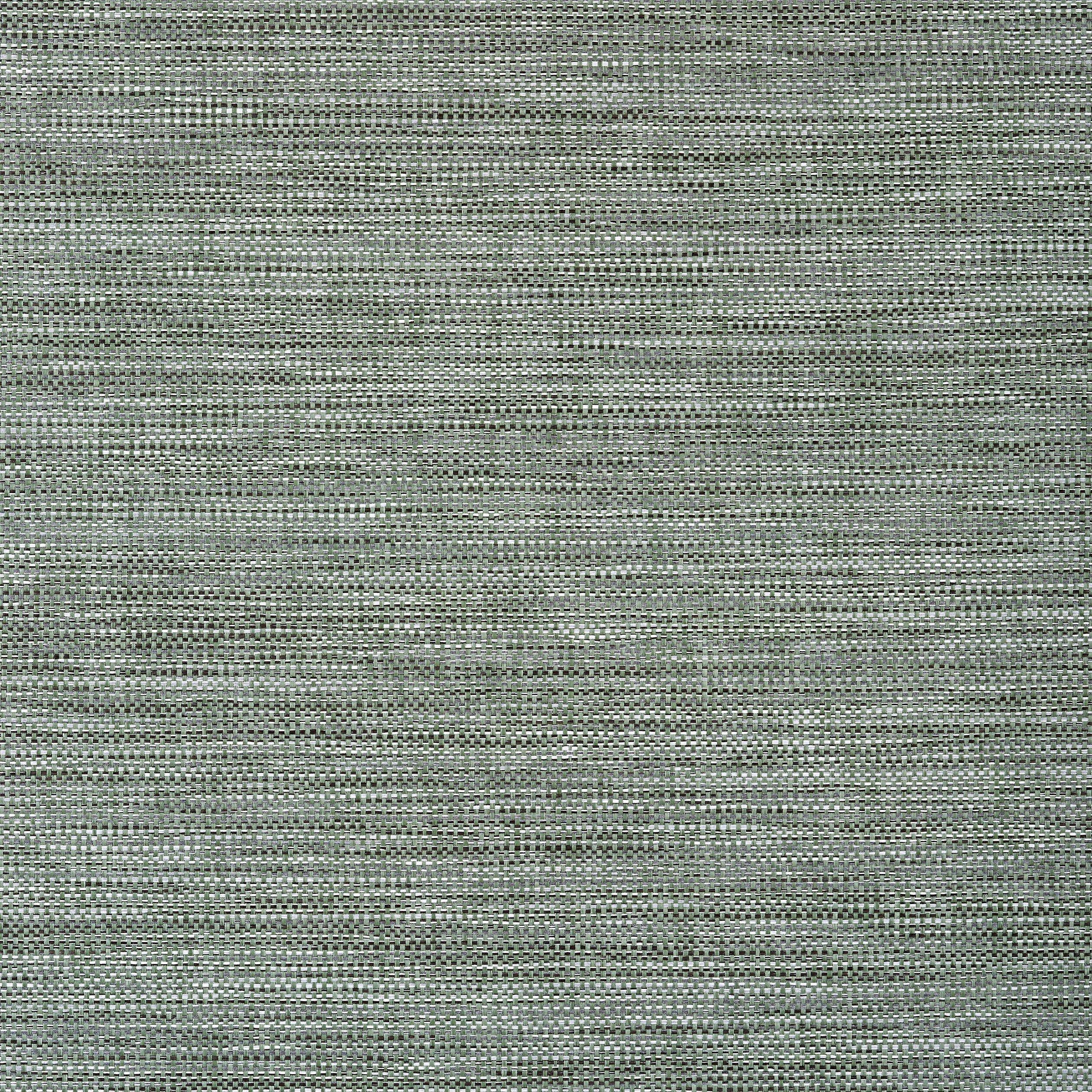 Calistoga wallpaper in green color - pattern number T24117 - by Thibaut in the Grasscloth Resource Volume 5 collection