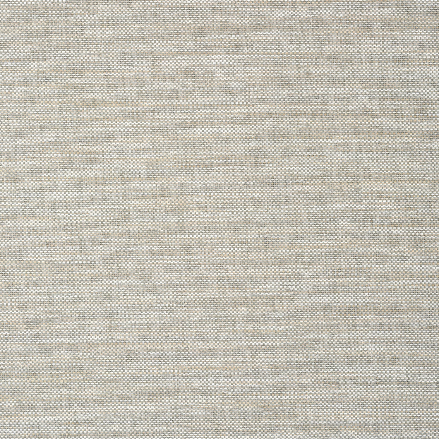Calistoga wallpaper in sage color - pattern number T24119 - by Thibaut in the Grasscloth Resource Volume 5 collection