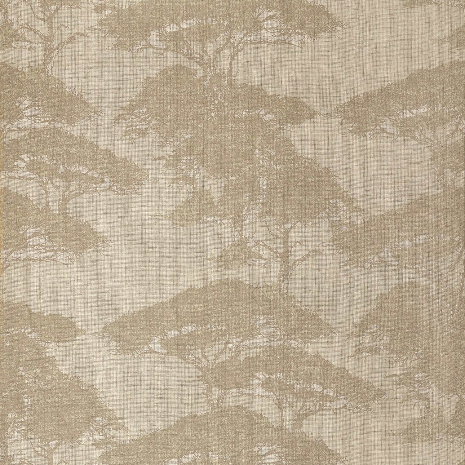 Torrey Pines wallpaper in champagne color - pattern number T24436 - by Thibaut in the Yutori collection