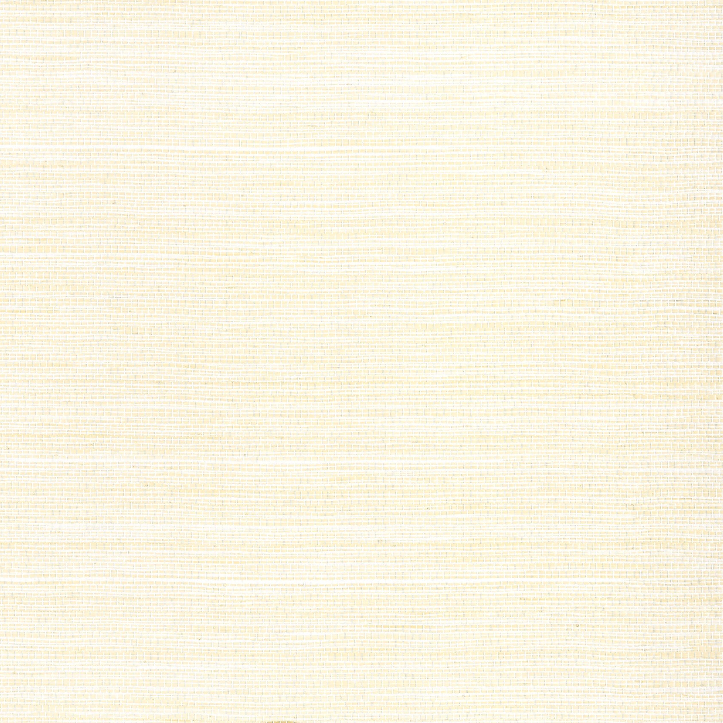 Cape May Weave fabric in natural color - pattern number T27007 - by Thibaut in the Natural Resource Volume 3 collection