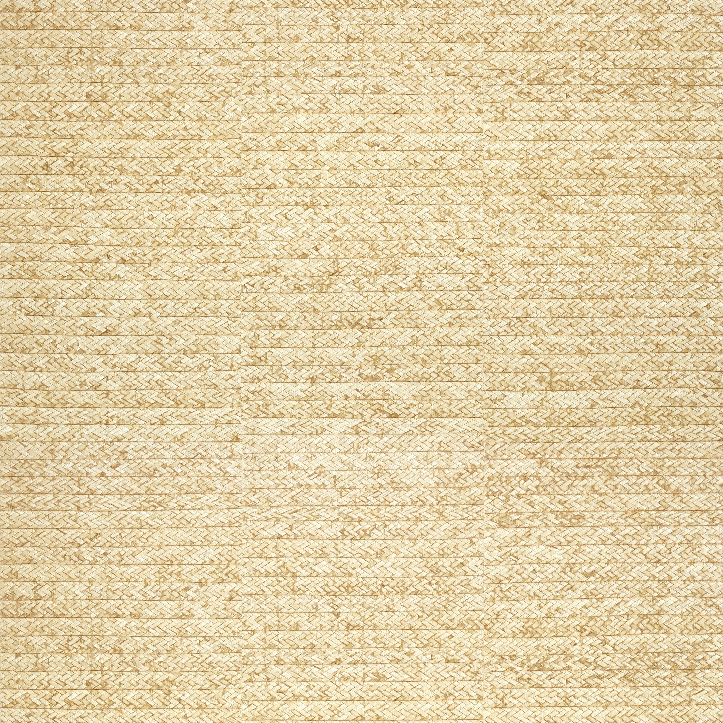 Pima Braid wallpaper in straw color - pattern number T27042 - by Thibaut in the Natural Resource Volume 3 collection