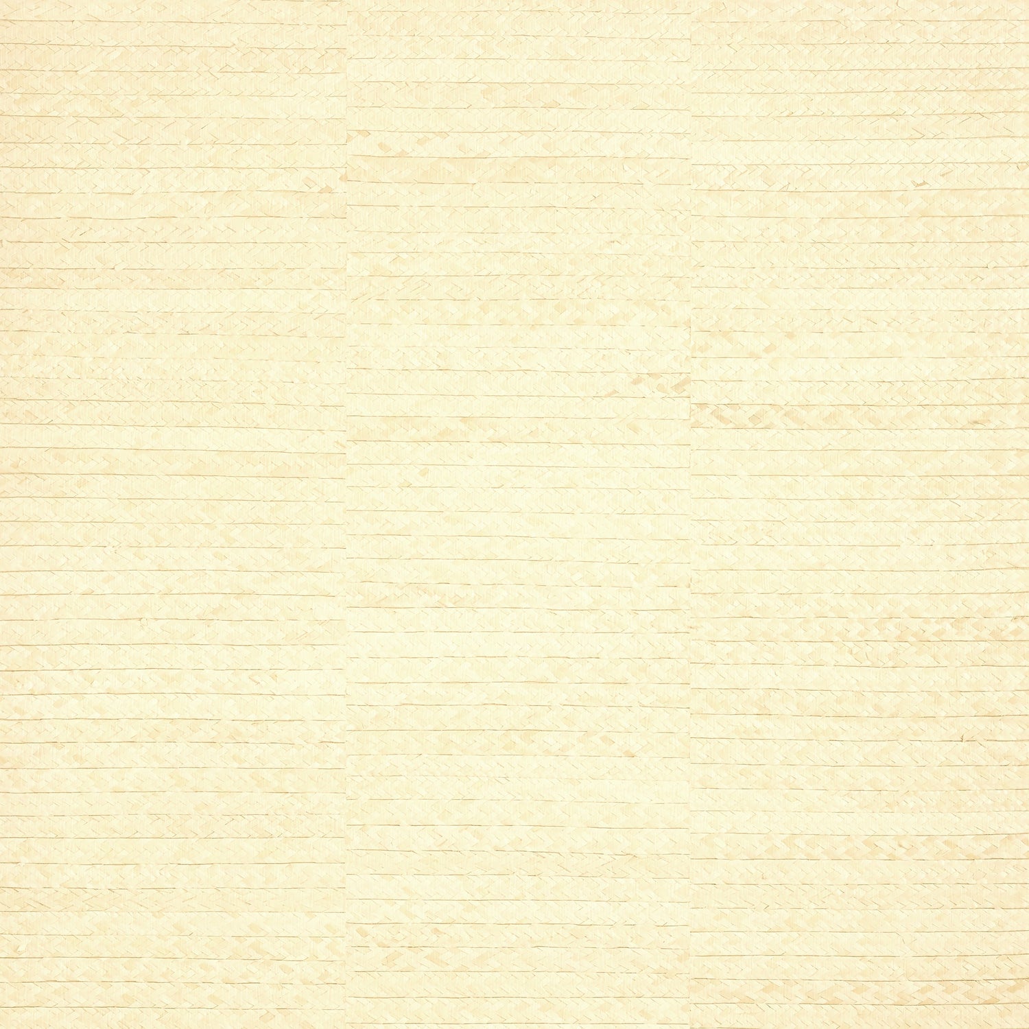 Pima Braid wallpaper in natural color - pattern number T27043 - by Thibaut in the Natural Resource Volume 3 collection