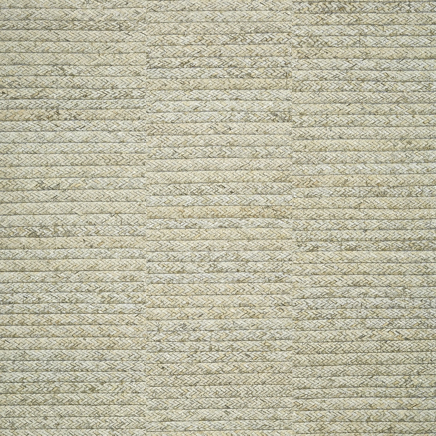 Pima Braid wallpaper in grey color - pattern number T27044 - by Thibaut in the Natural Resource Volume 3 collection