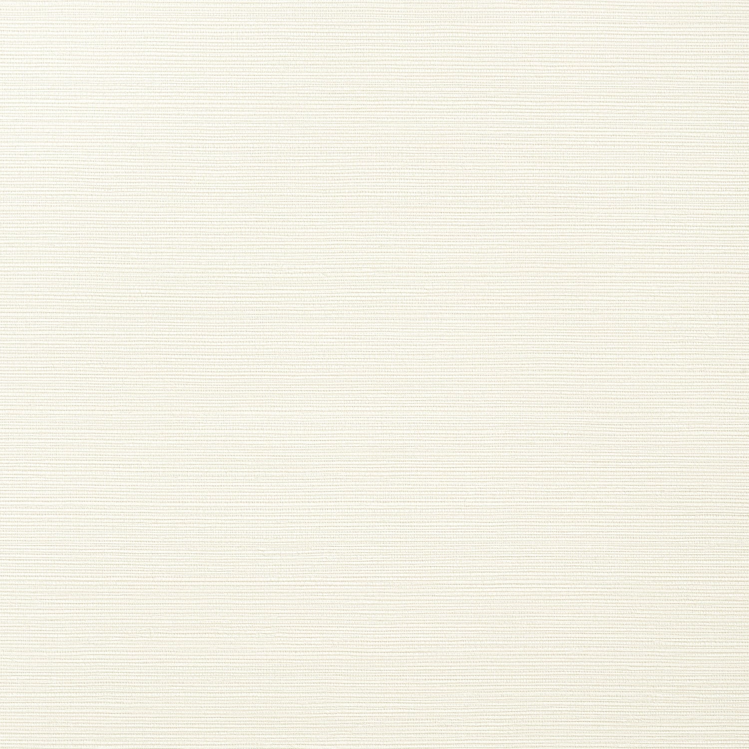 Taluk Sisal wallpaper in off white color - pattern number T281 - by Thibaut in the Texture Resource Volume 9 collection