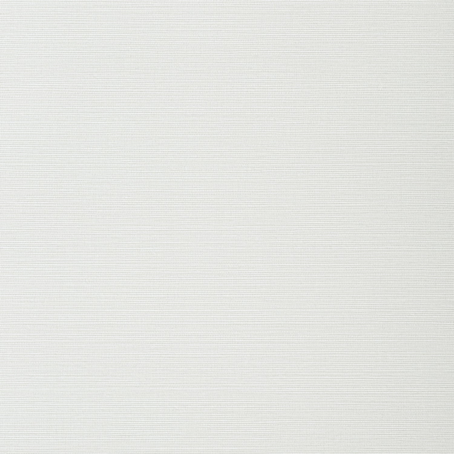 Taluk Sisal wallpaper in snow color - pattern number T282 - by Thibaut in the Texture Resource Volume 9 collection