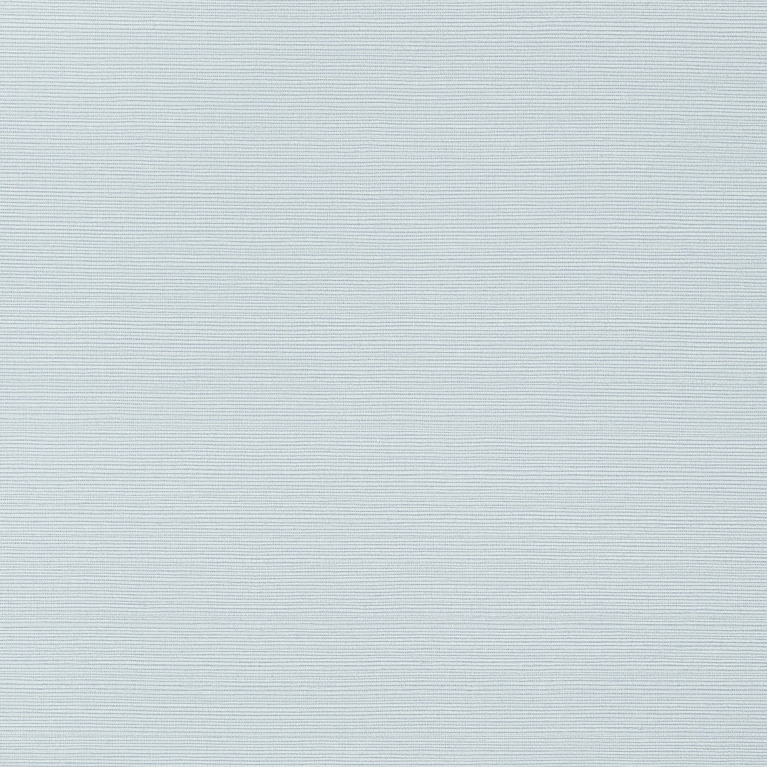 Taluk Sisal fabric in ice color - pattern number T283 - by Thibaut in the Texture Resource Volume 6 collection